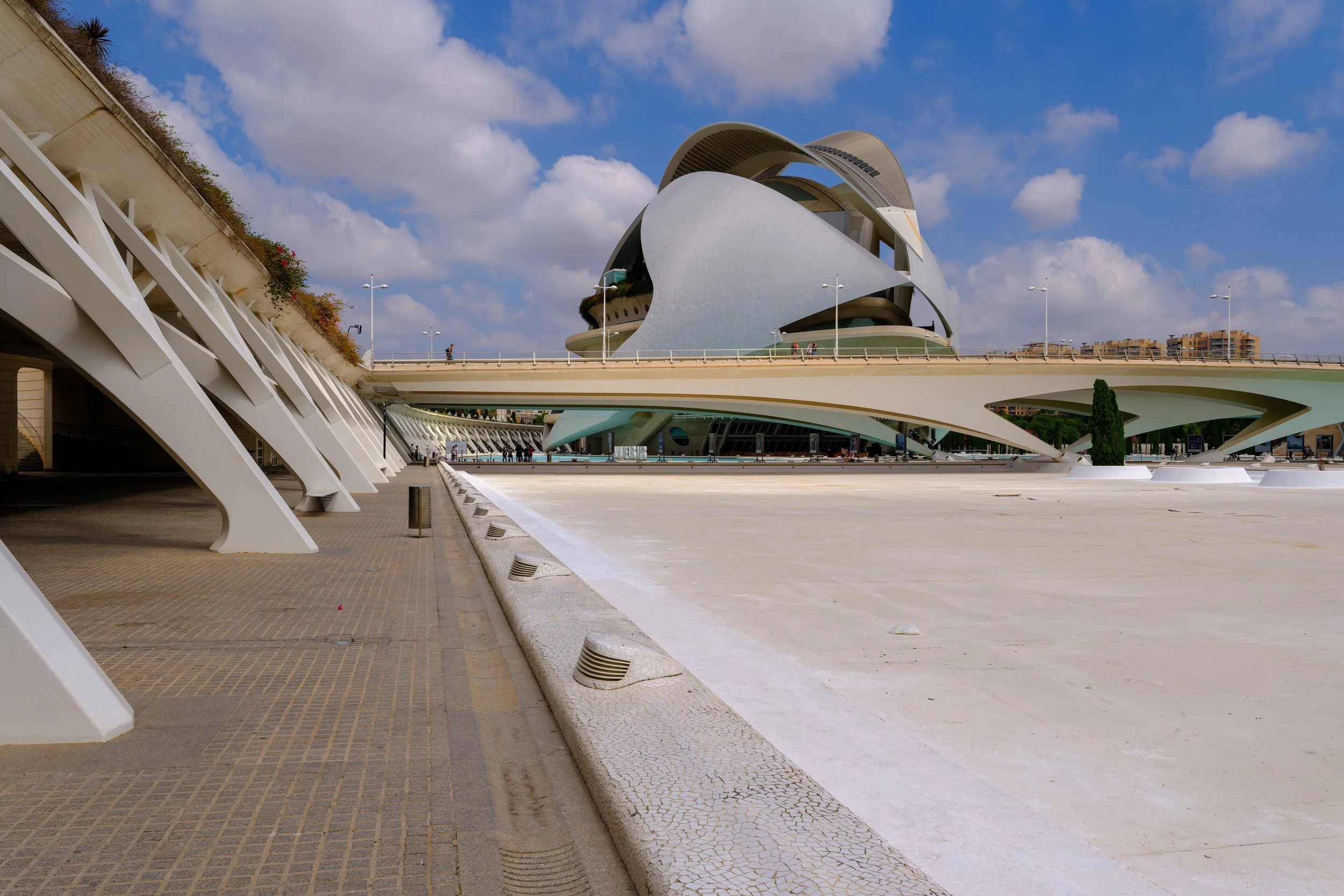 p28127.jpg