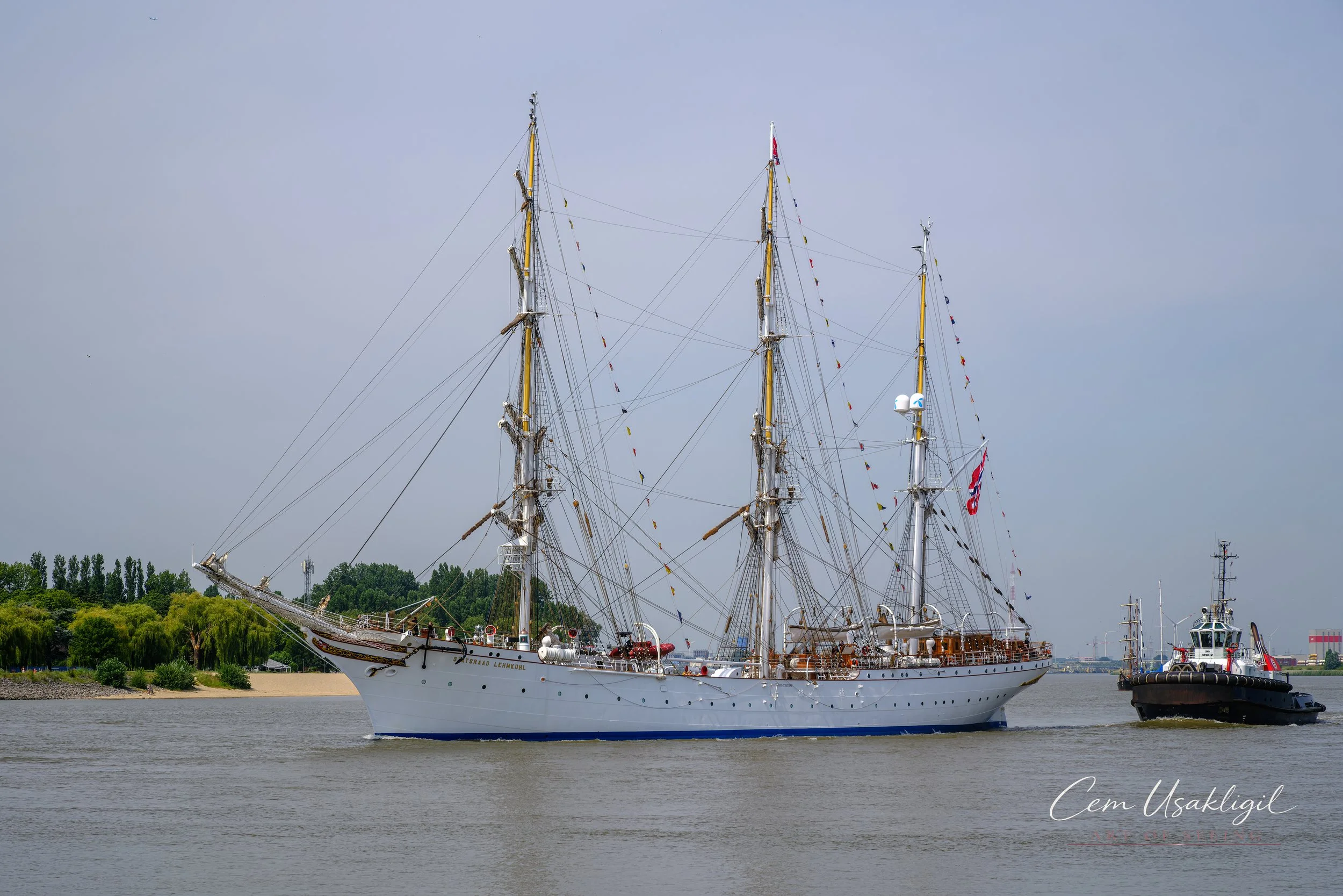 p28643.jpg