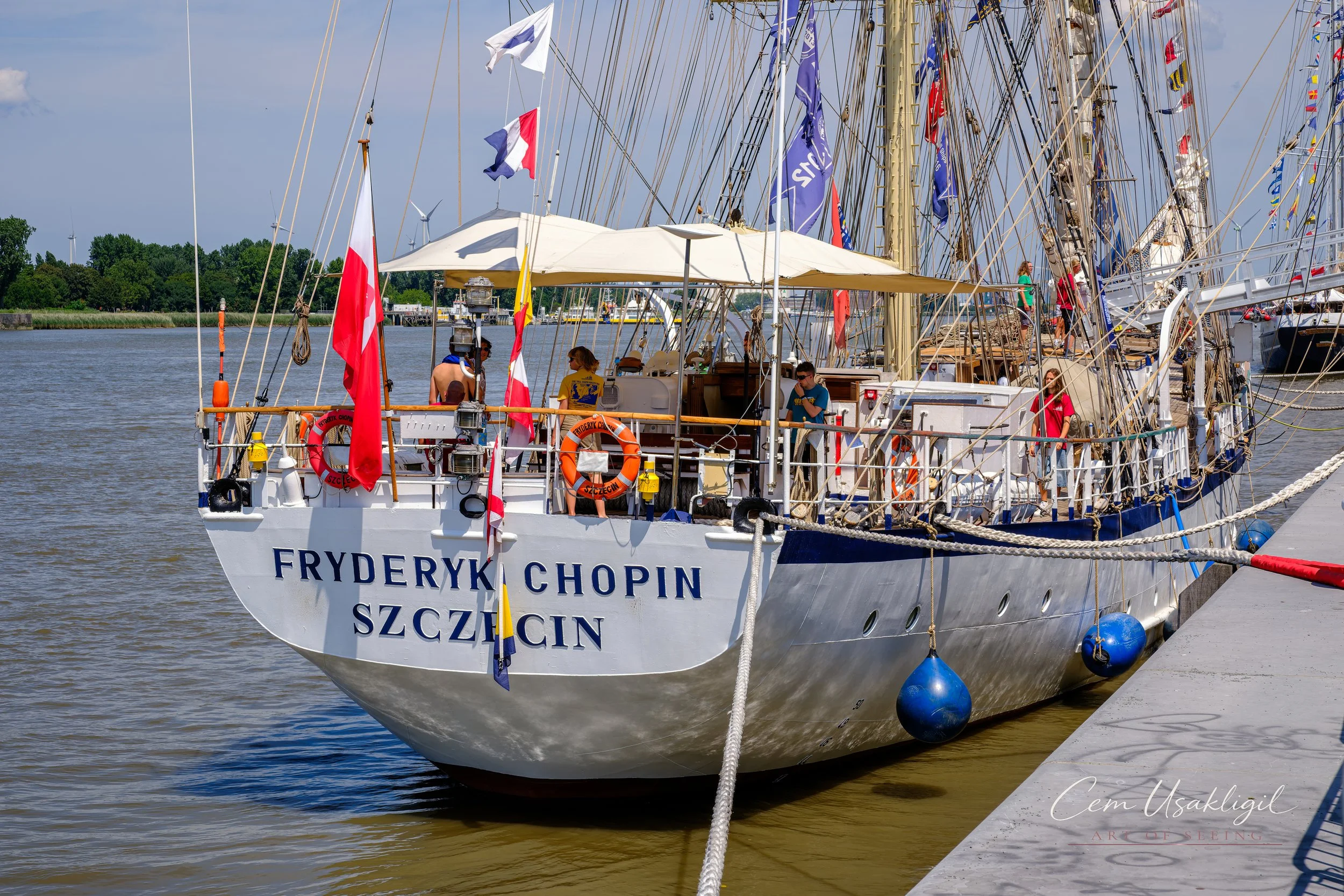 p29347.jpg
