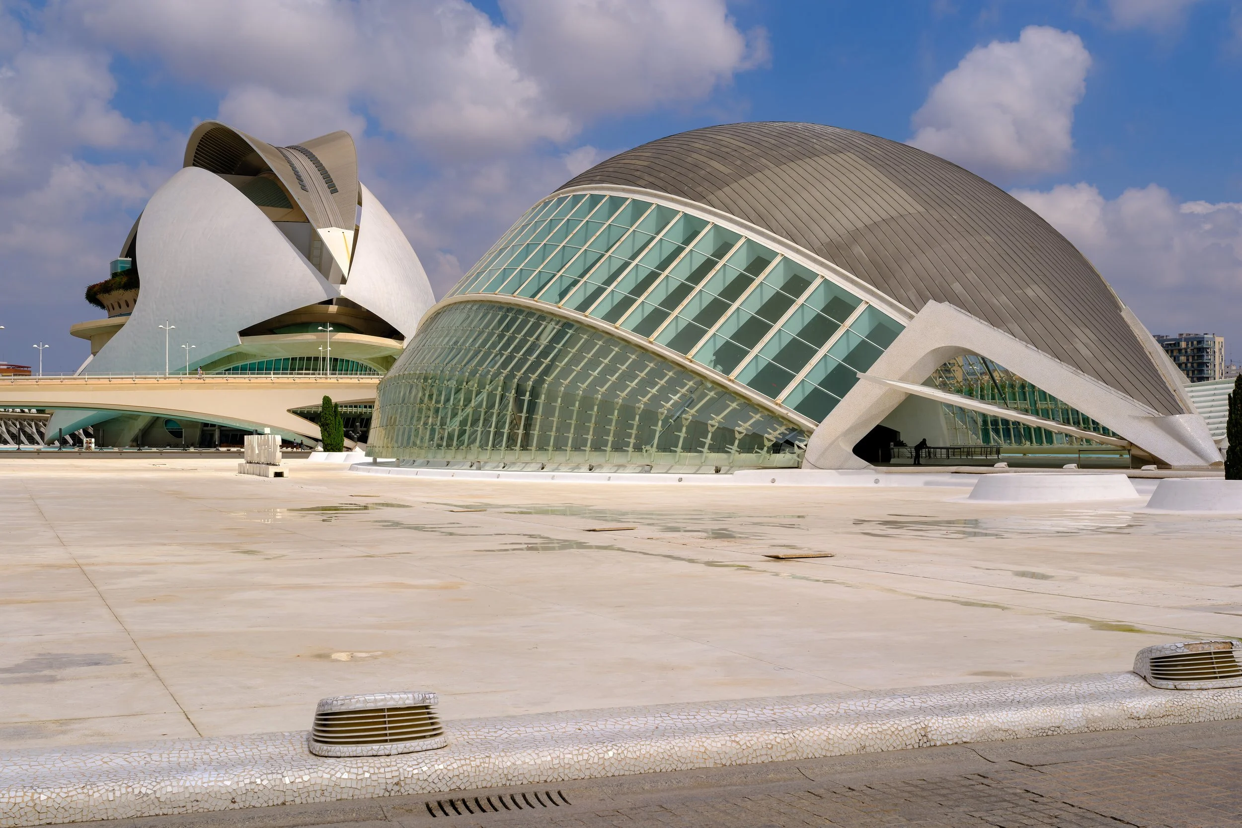 p28132.jpg