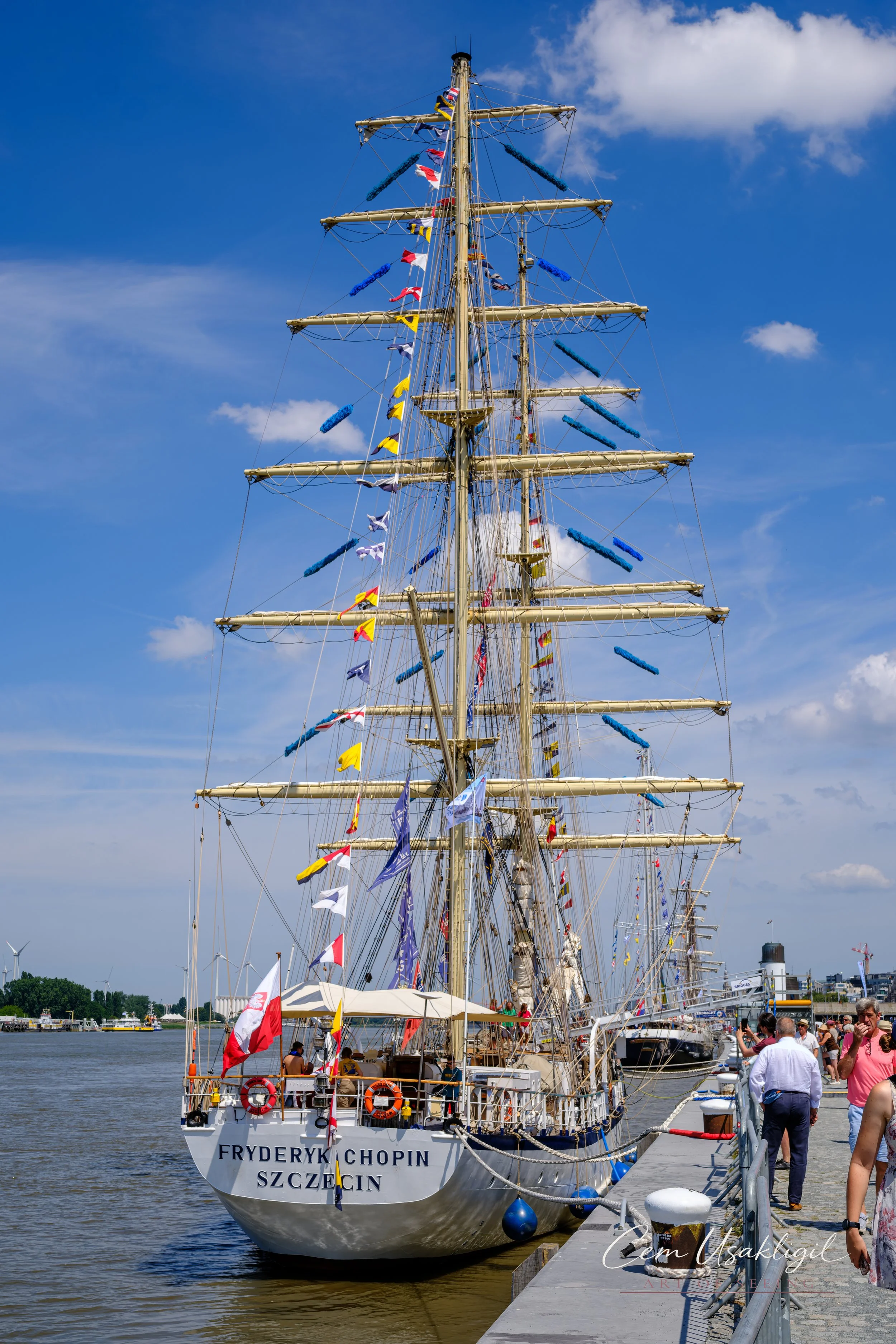 p29346.jpg