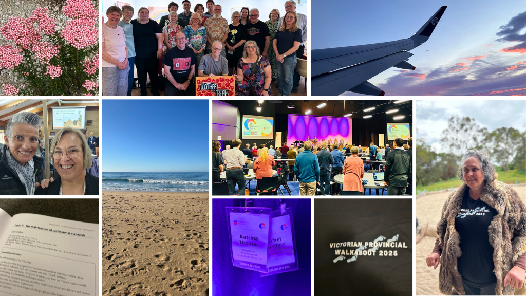 CEO Report: December 2025