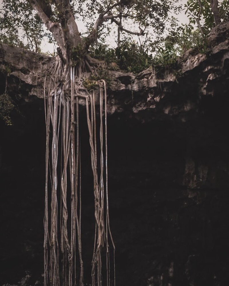 I&rsquo;m currently working with @thesweetslow in her Liminal offer. In a guided meditation to witness-discover-explore my inner landscape, I was tasked with meeting my mother tree - the solid, sovereign core of my Self. After spending some time with
