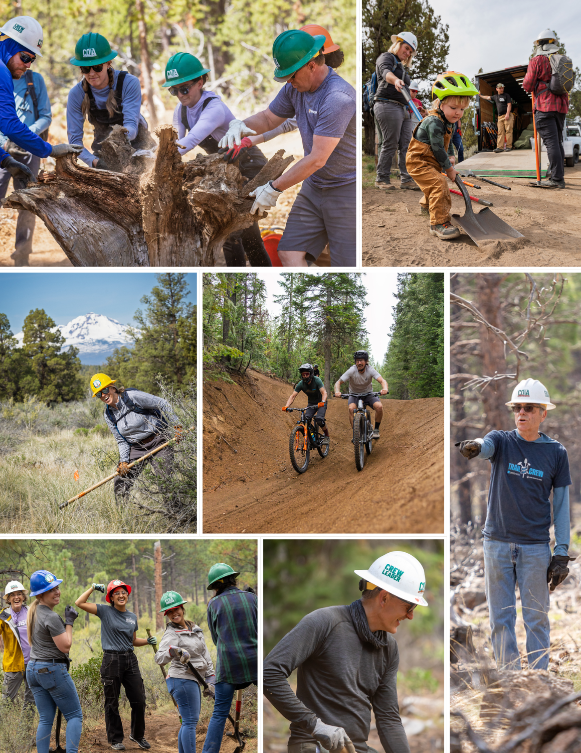 COTA 2025 Annual Report_FINAL.png