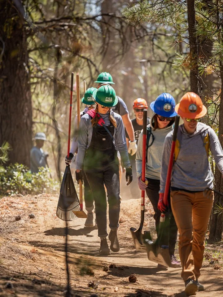 Group of people hiking in a forest wearing safety helmets and casual outdoor clothing, carrying equipment like shovels.