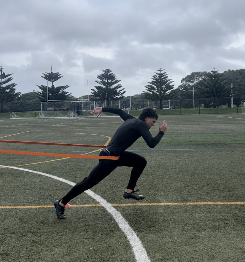 Screen Shot 2023-12-01 at 9.43.06 am.png