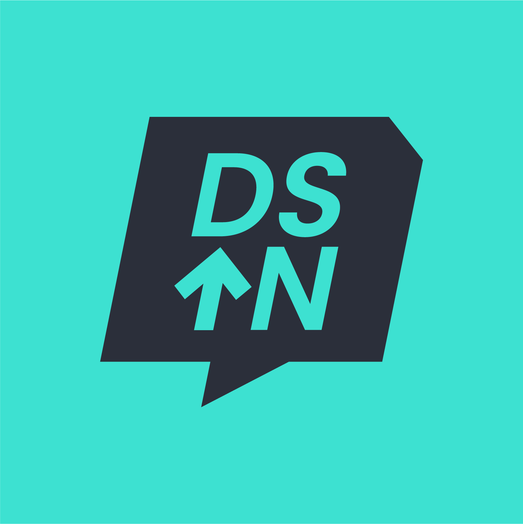 DSN Linkedin Profile @300x-8.png