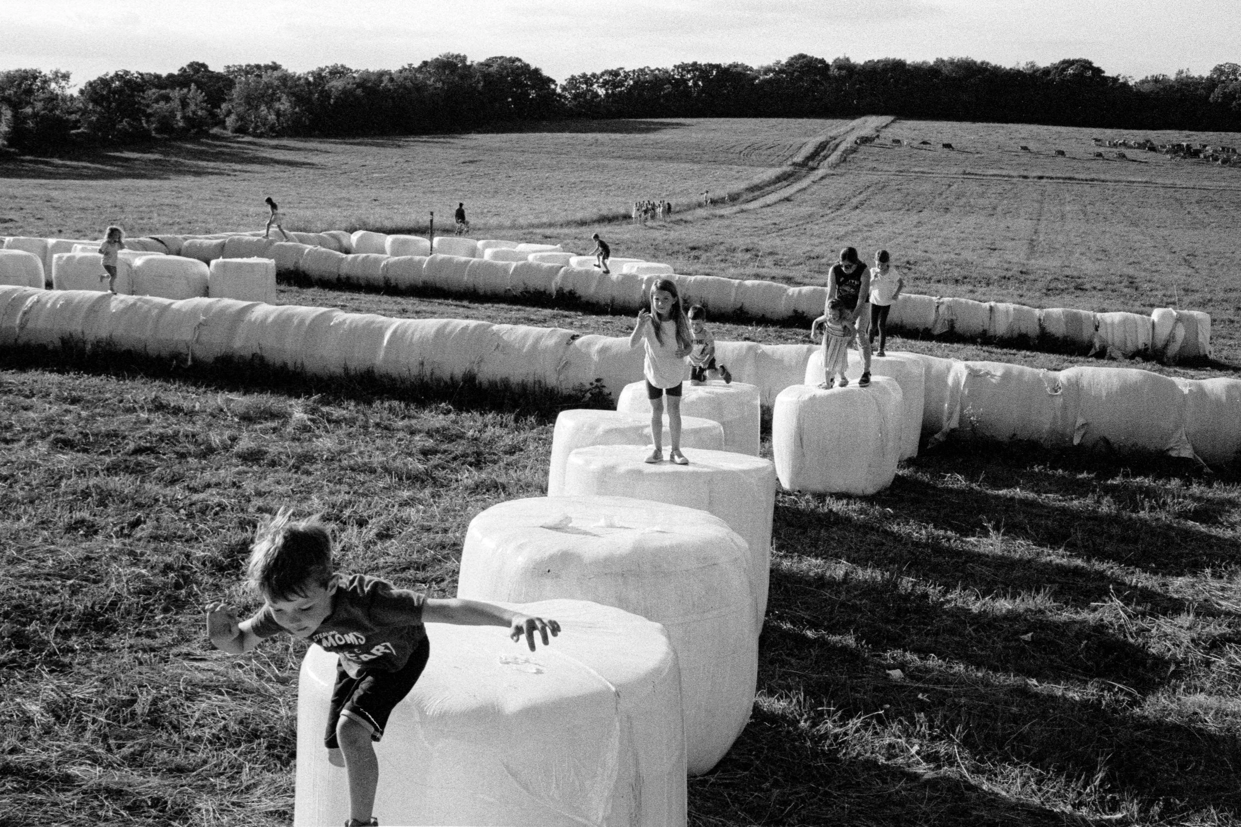 Hay bale better mids-6.jpg