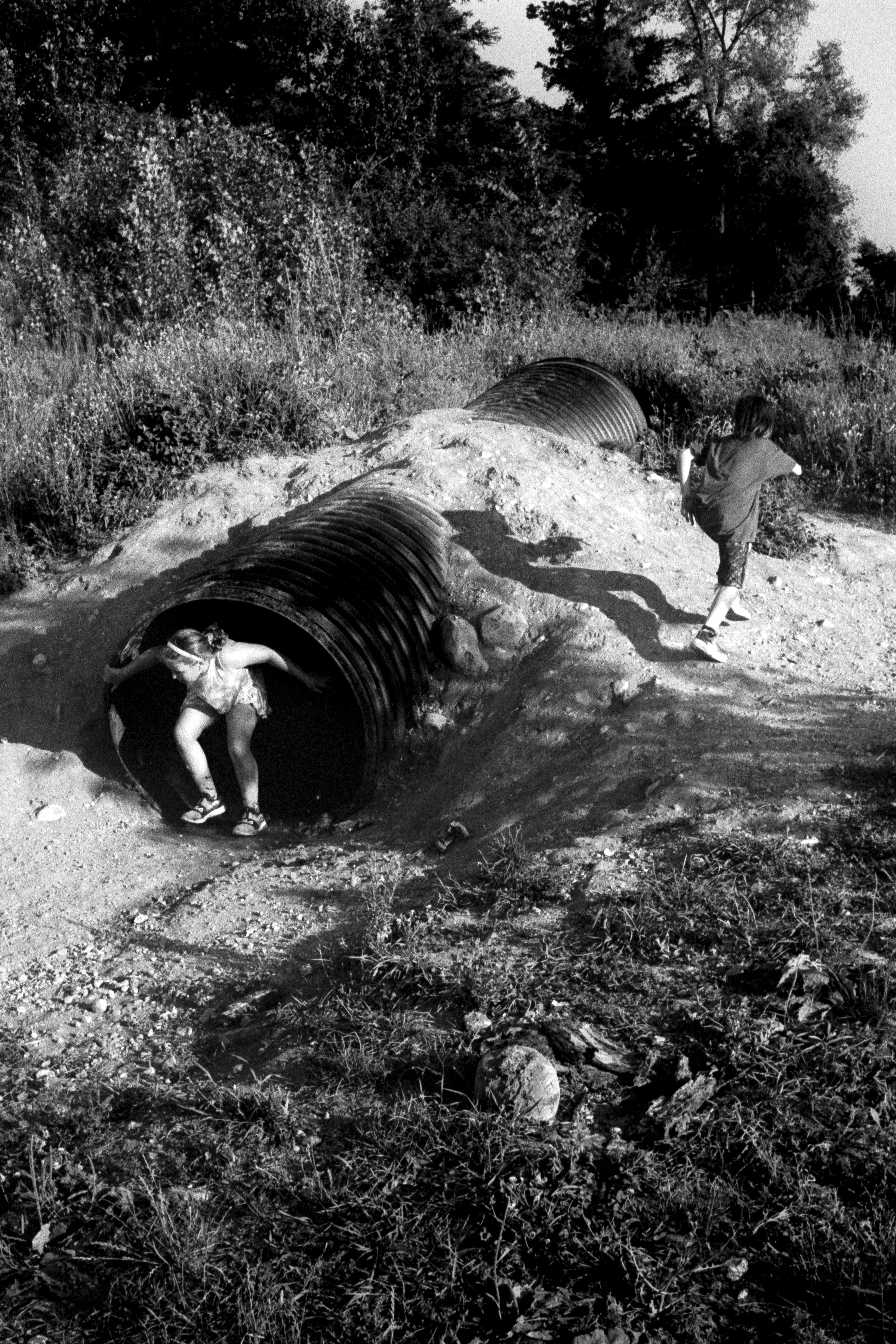 Summer 2025 Pizza Farm (24).jpg