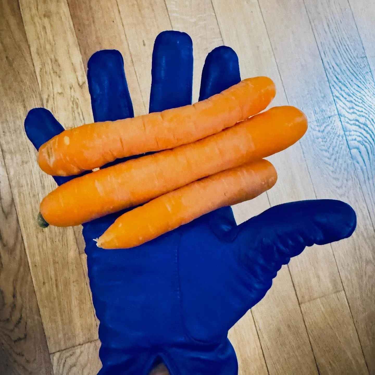 Carrot 
Mel Blanc, the voice of cartoon character Bugs Bunny, did not like carrots. 
They are 88% water. 
Both written history and molecular genetic studies indicate that the domestic carrot has a single origin in what is now Afganistan and Iran. The