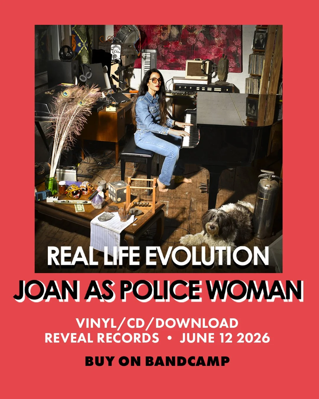 @joanaspolicewoman New Album "Real Life Evolution" 
Pre Order open now LP / CD / DL 
Released June 12 @reveal_records 
Extra dates just added to Real Life 20th Anniversary Tour (on sale soon)
Link in bio 

June 20
New York City Joe&rsquo;s 