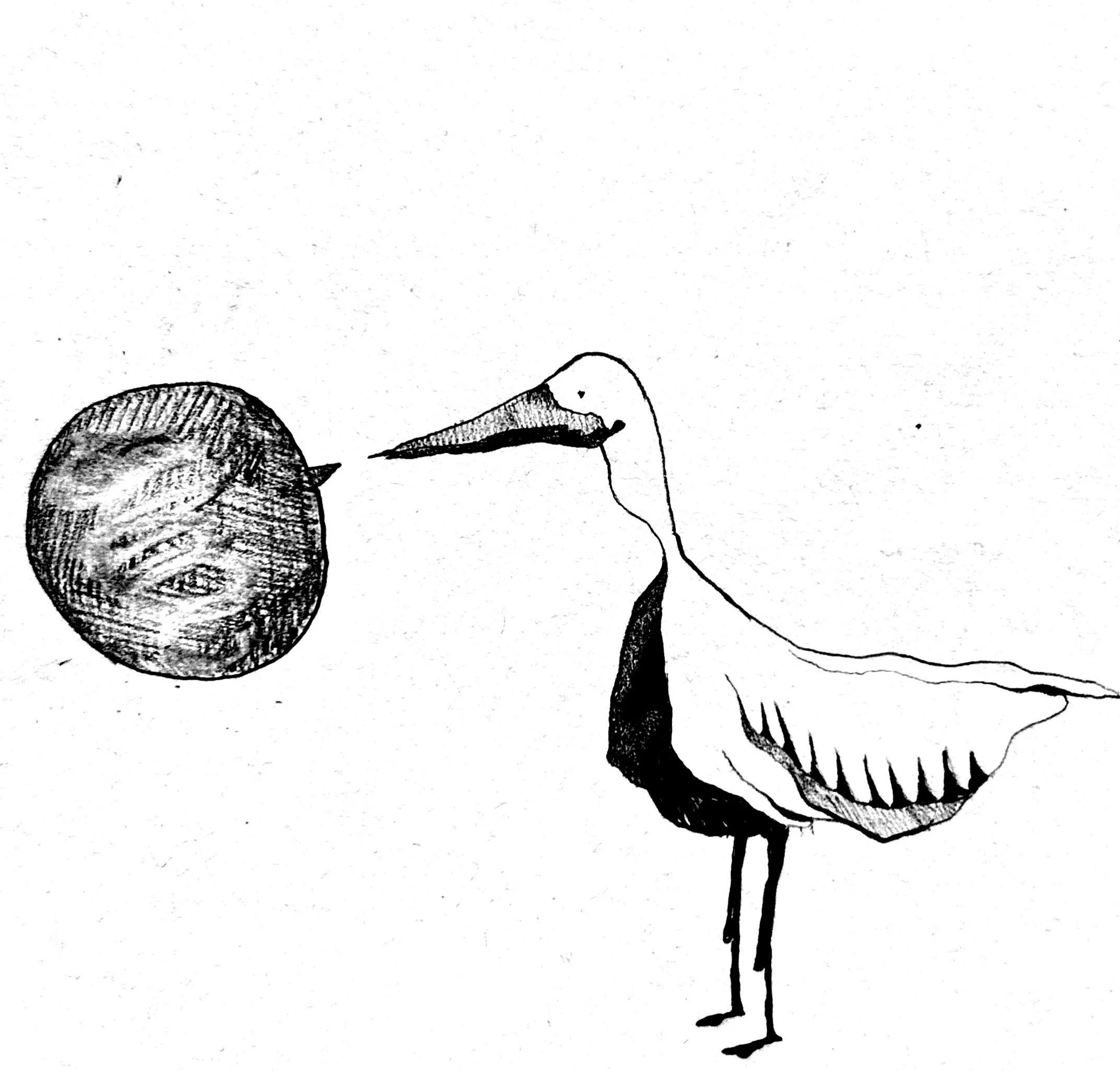 Bad Words: Language and the Politics of Naughtiness