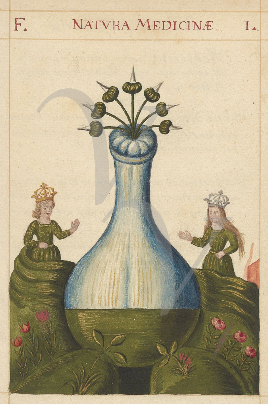 A vintage illustration from a book titled 'Natura Medicina,' featuring a large glass vessel with a plant growing inside, surrounded by two women wearing crowns and green dresses, sitting on a grassy area with flowers.