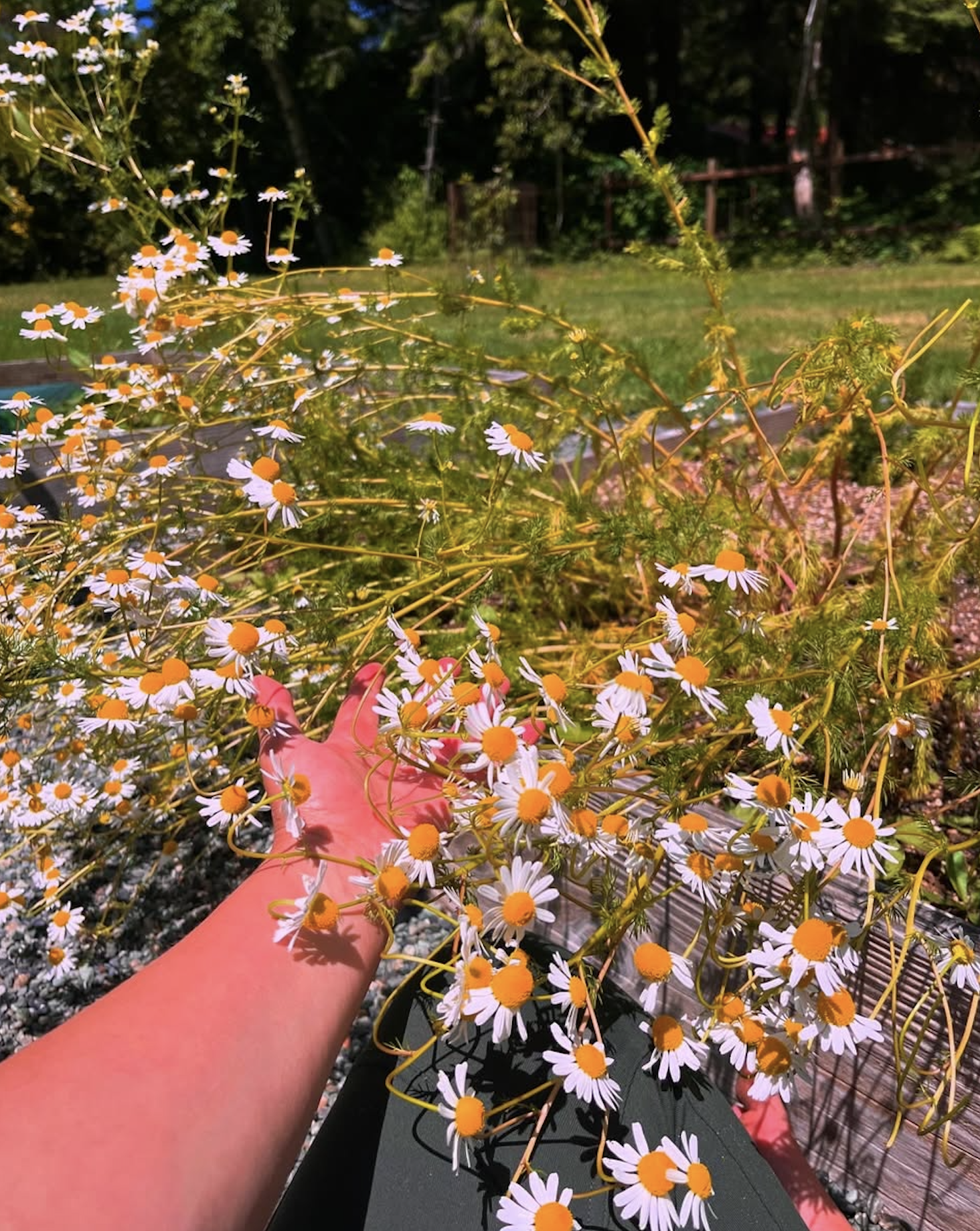 Screen Shot 2026-01-13 at 4.36.11 PM.png