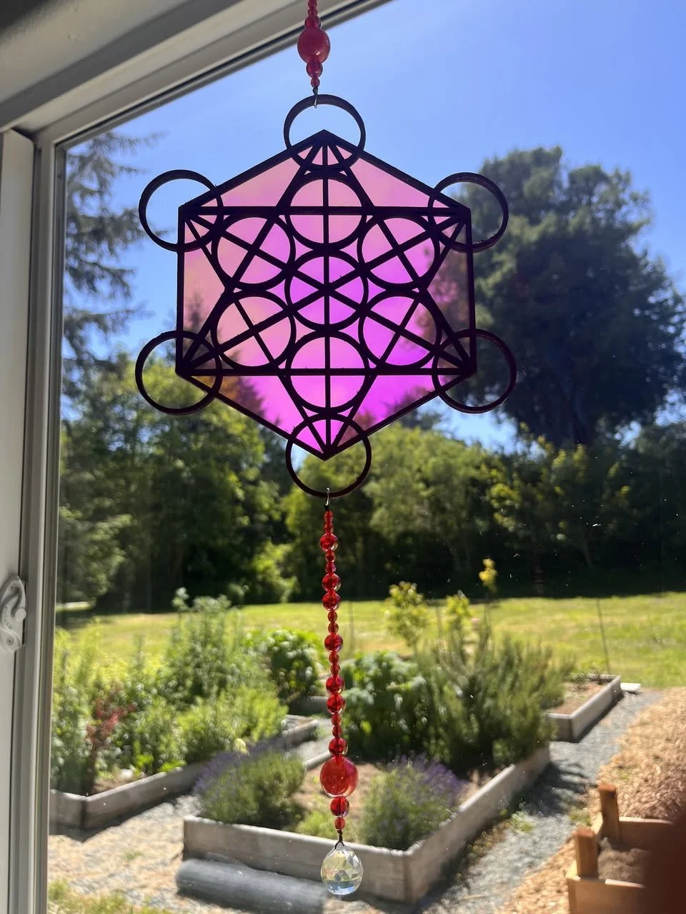 713146603_10167426352435558_5499222537710534718_n.jpg