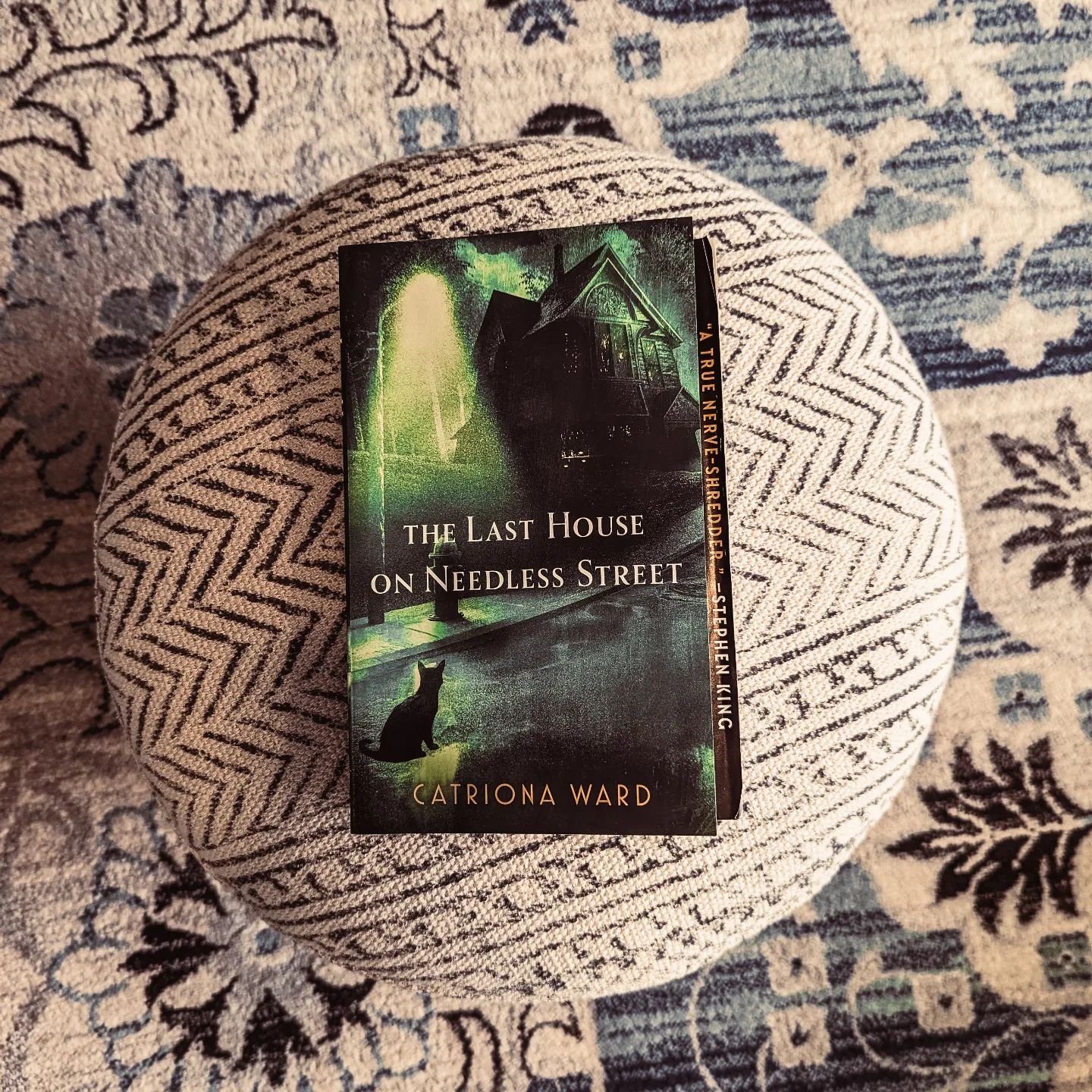 THE LAST HOUSE ON NEEDLESS STREET by @catward66 blew my mind. It's everything: thrilling, scary, disturbing, incredibly sad, but also hopeful. 

I don't want to say too much about the plot. On the surface, it's about a single dad named Ted who lives 