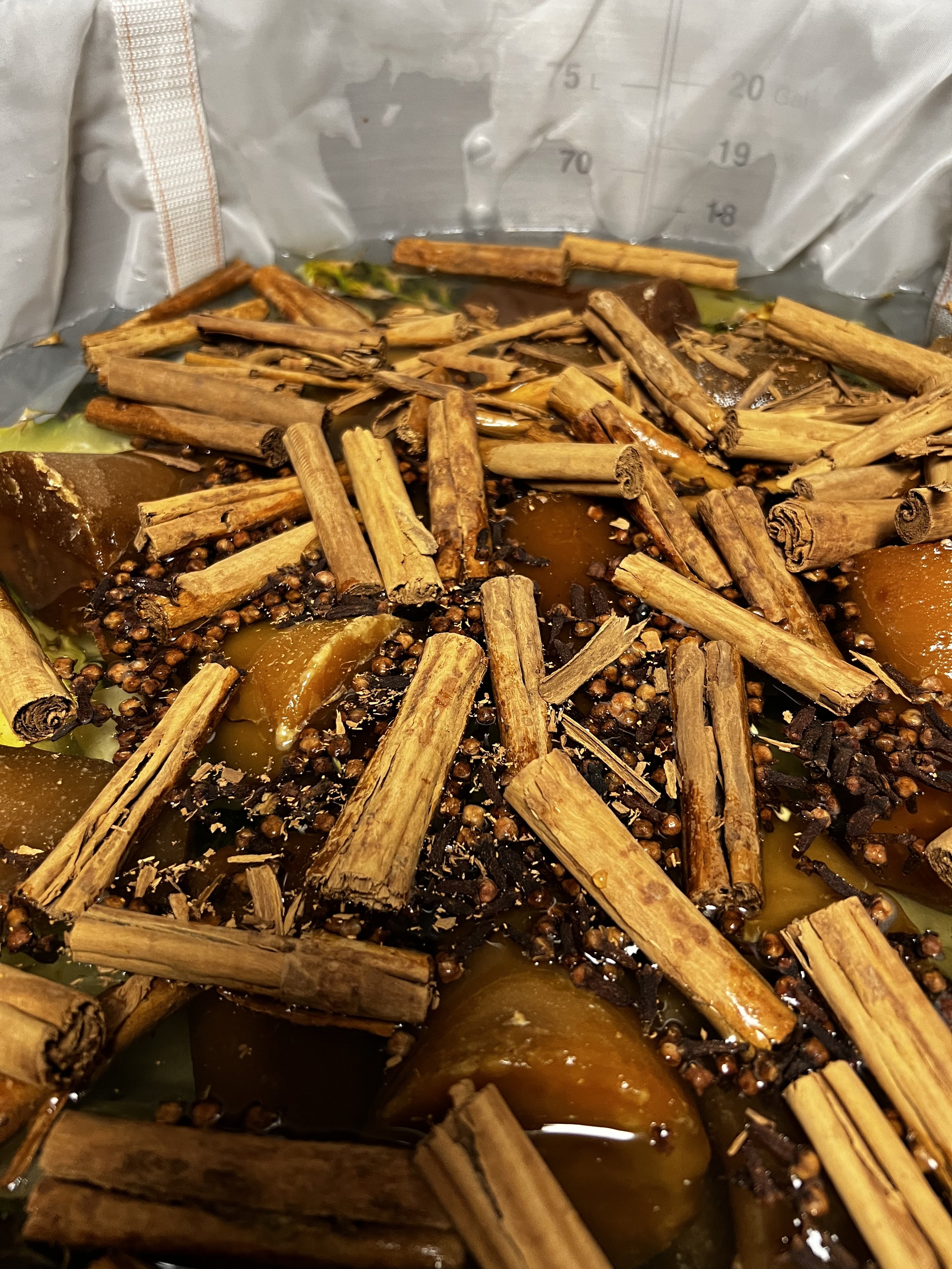 Puro Tepache: A Blend of Tradition and Innovation