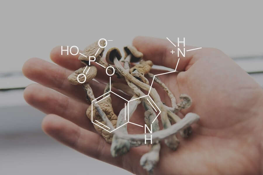 Psilocybin Mushroom Dosing in Oregon: Everything You Need to Know