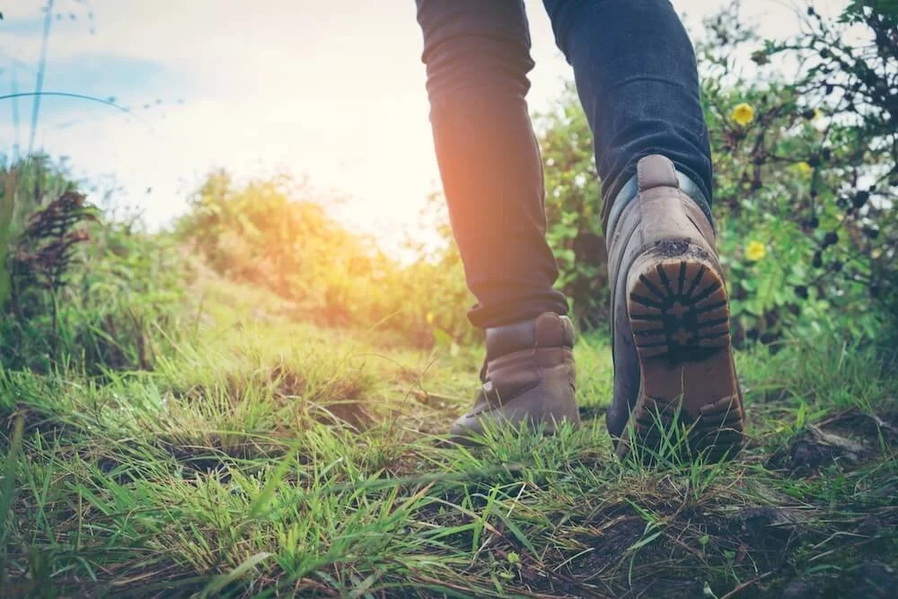 psilocybin integration walking through nature