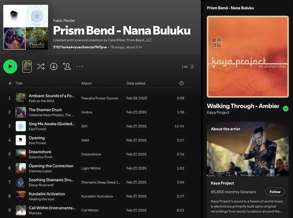 psilocybin journey playlist prism bend