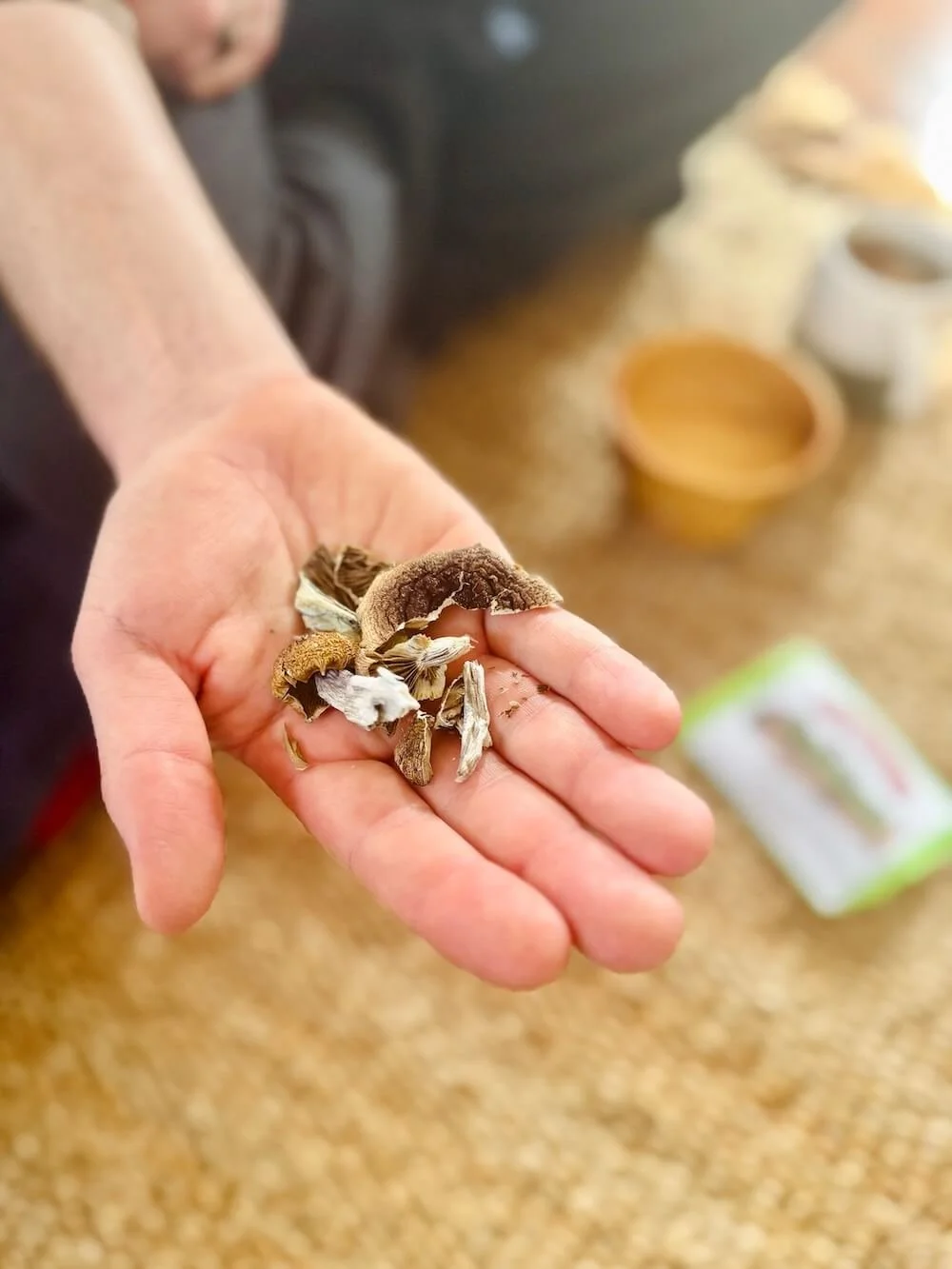 psilocybin dosing golden teachers whole