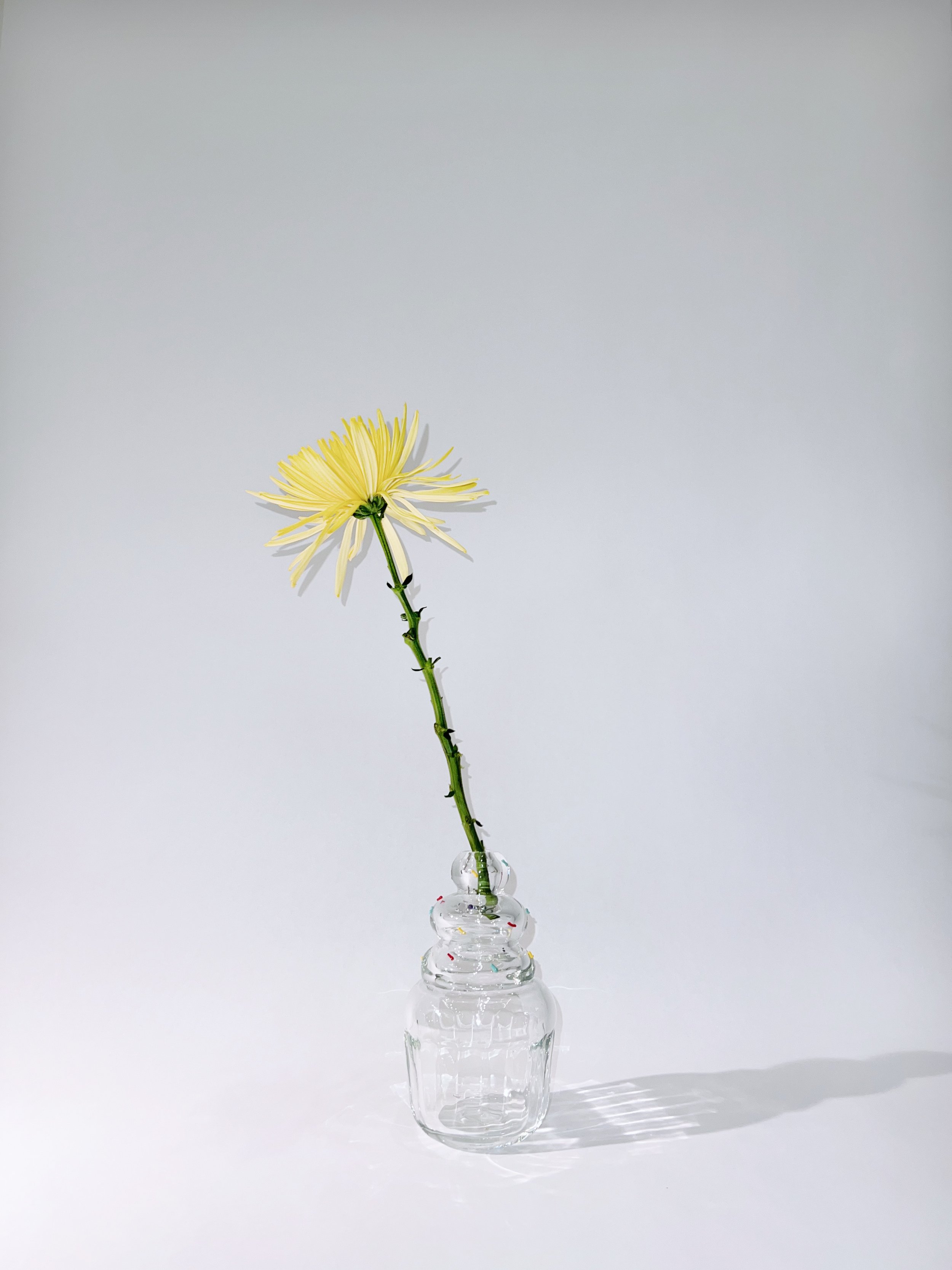 Cupcake Single Flower Vase
