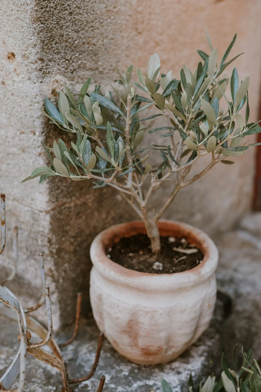 unsplash-image-VnE7Bh6OMpA.jpg