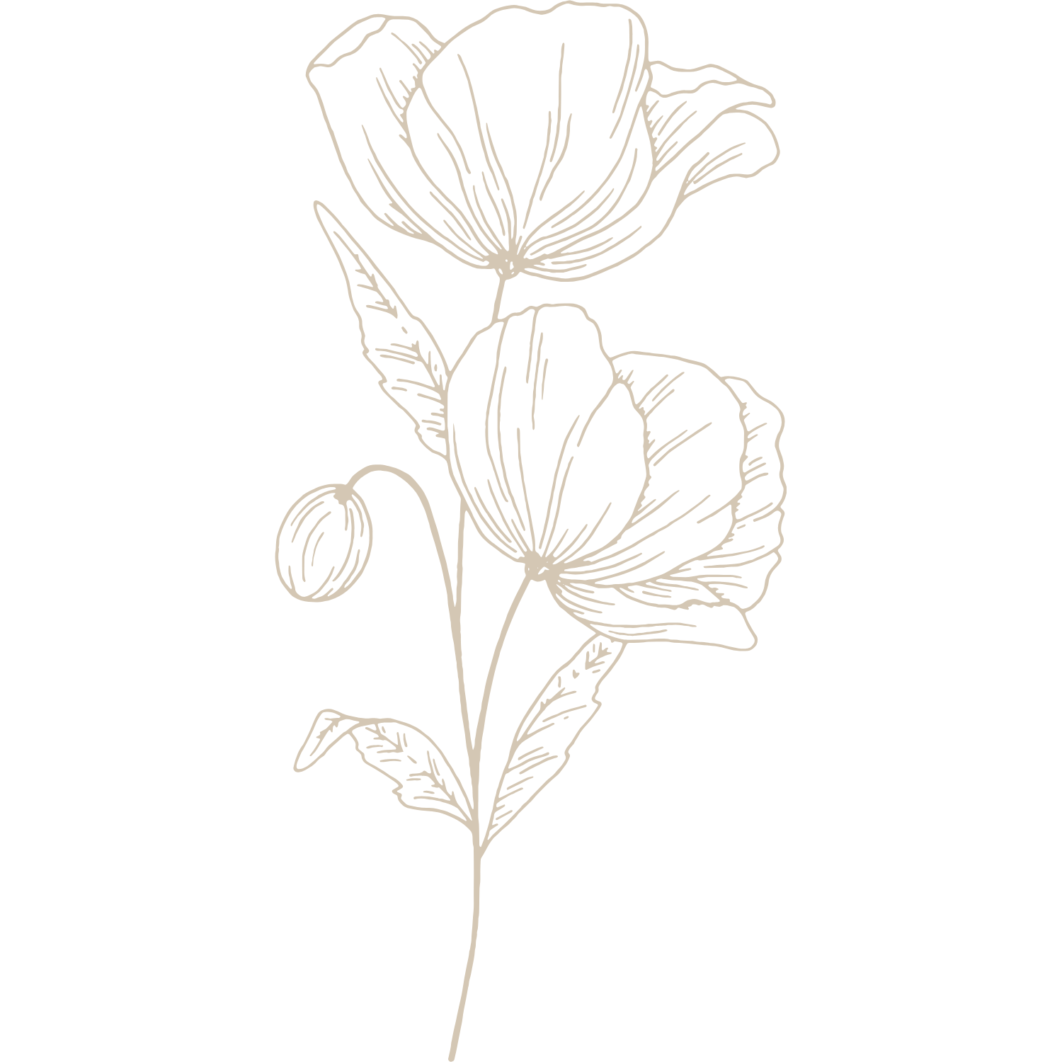 Stragetic Starter Website.png