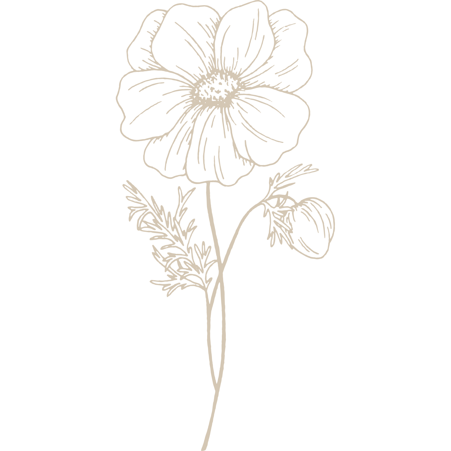 Fresh launch Website.png