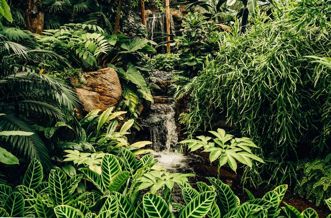 unsplash-image-VDPFEyIrAn0.jpg