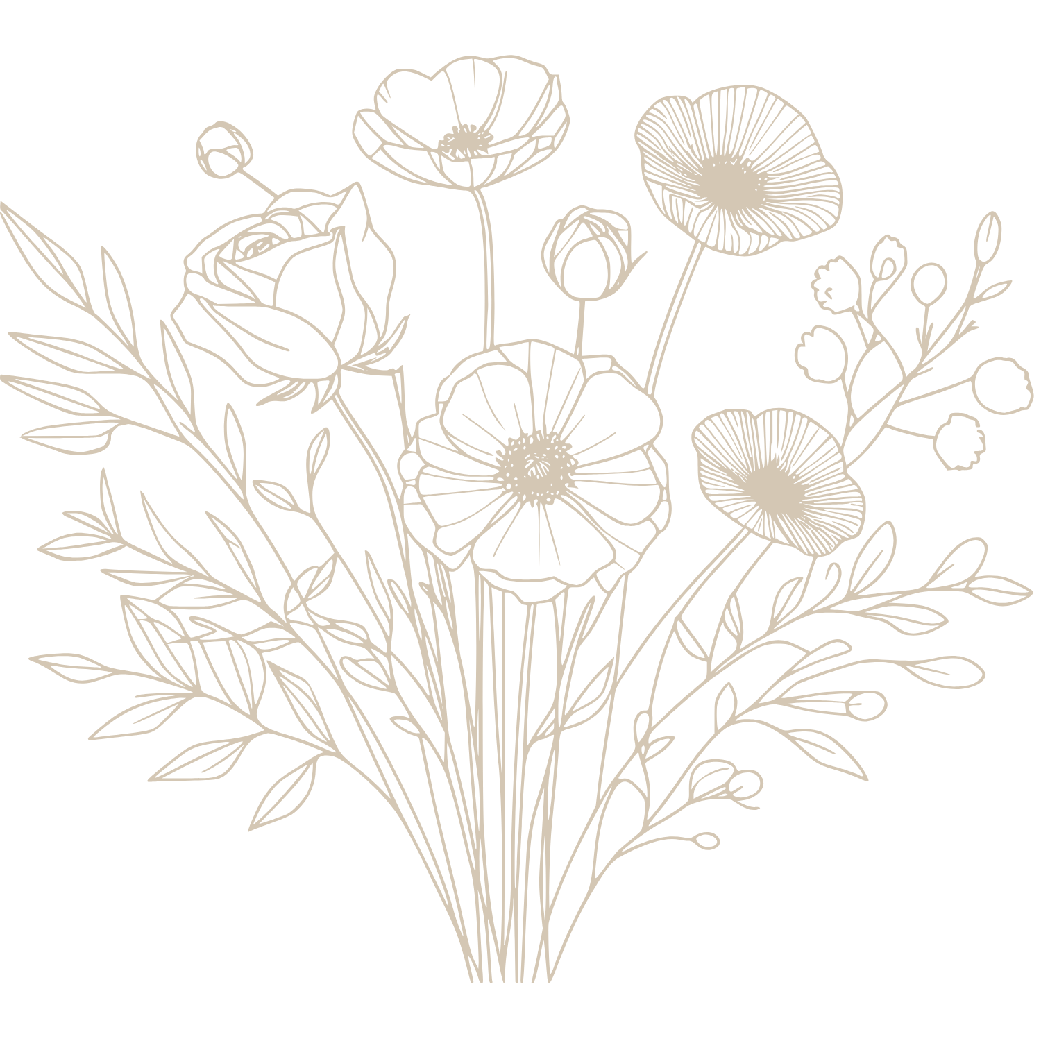 Website Care Plan.png