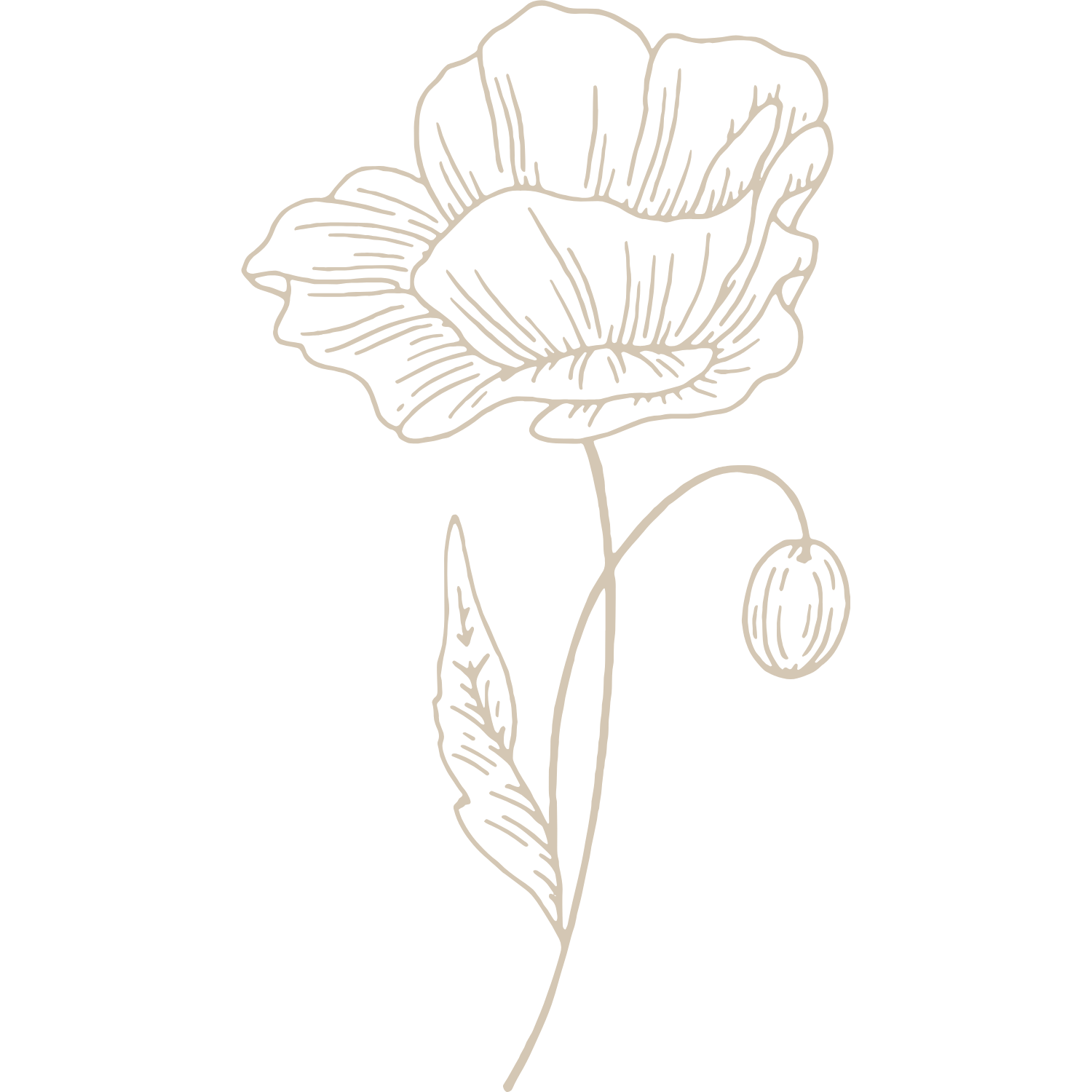 Custom Brand Website.png