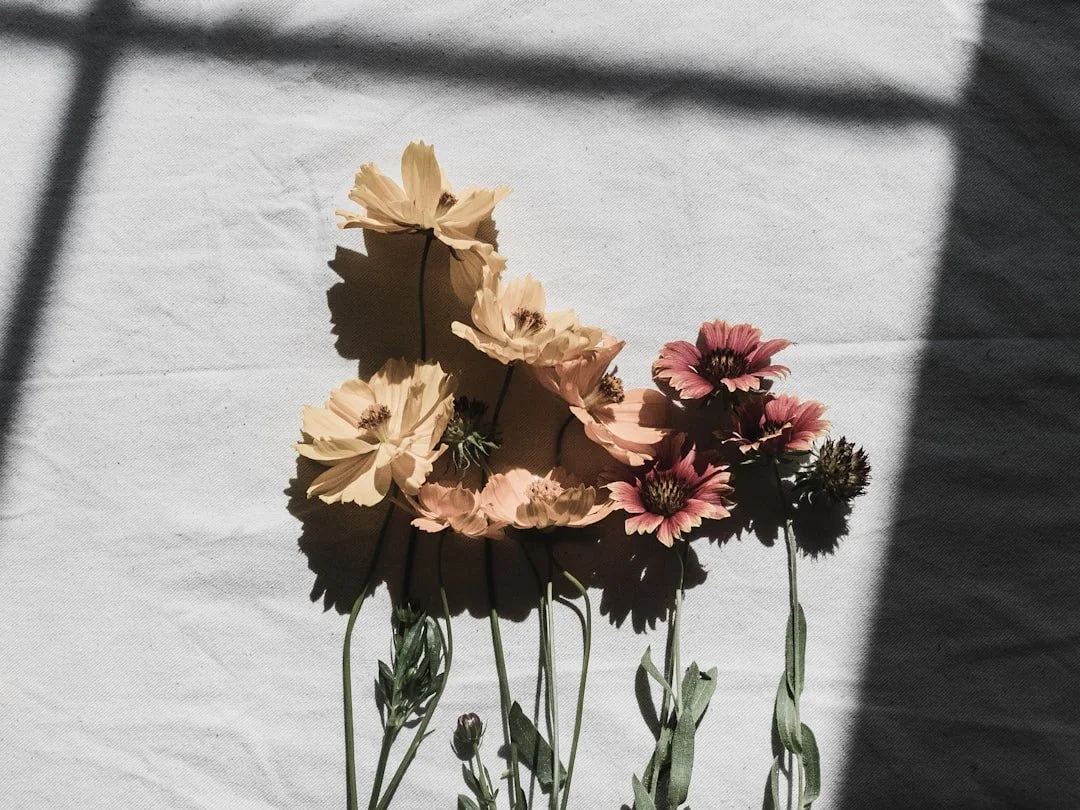 unsplash-image-HPLCynf4I8w.jpg