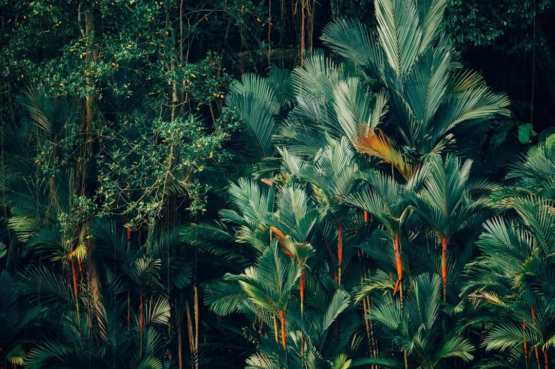 unsplash-image-9G1kXjqOq4U.jpg