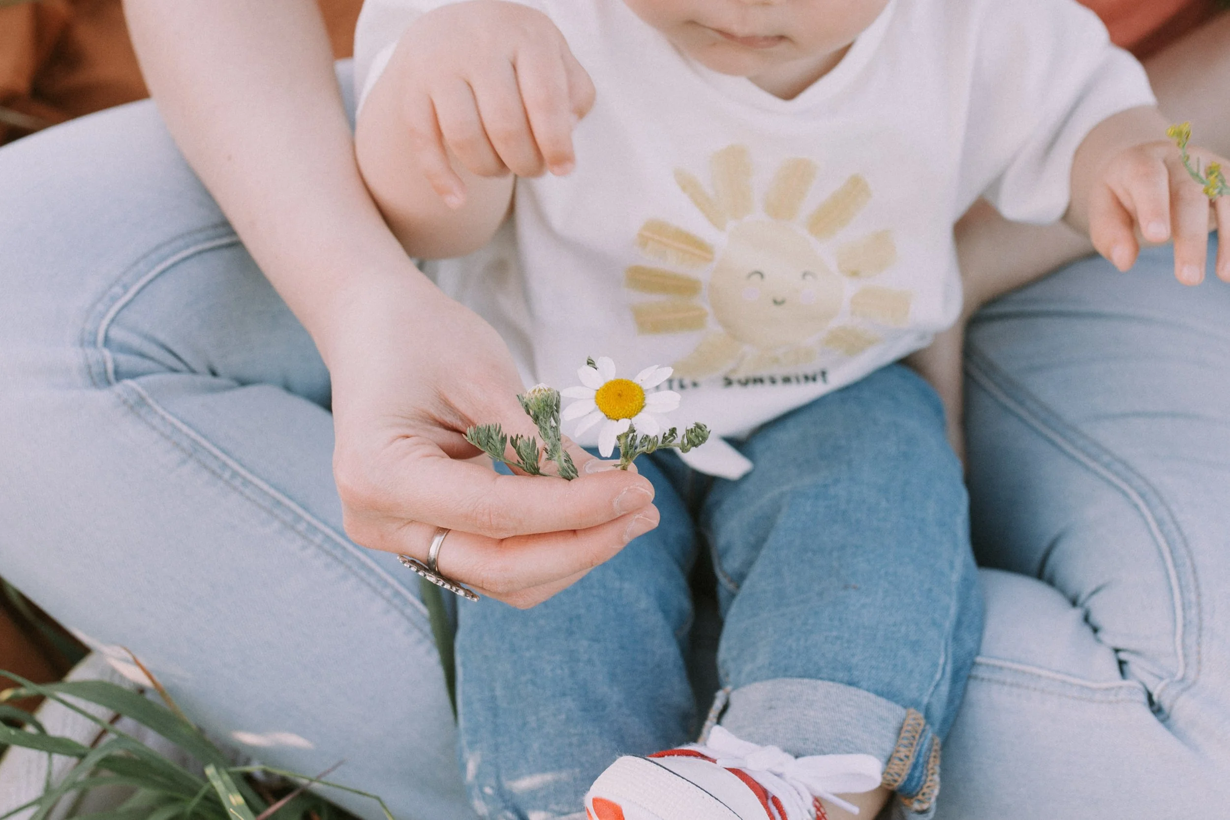 fotografía familiar natural