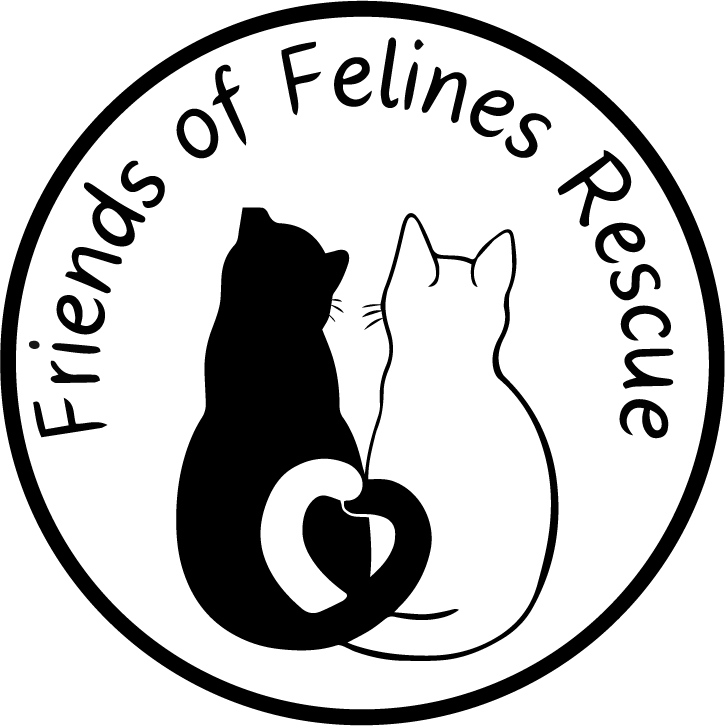 Friends of Felines Rescue