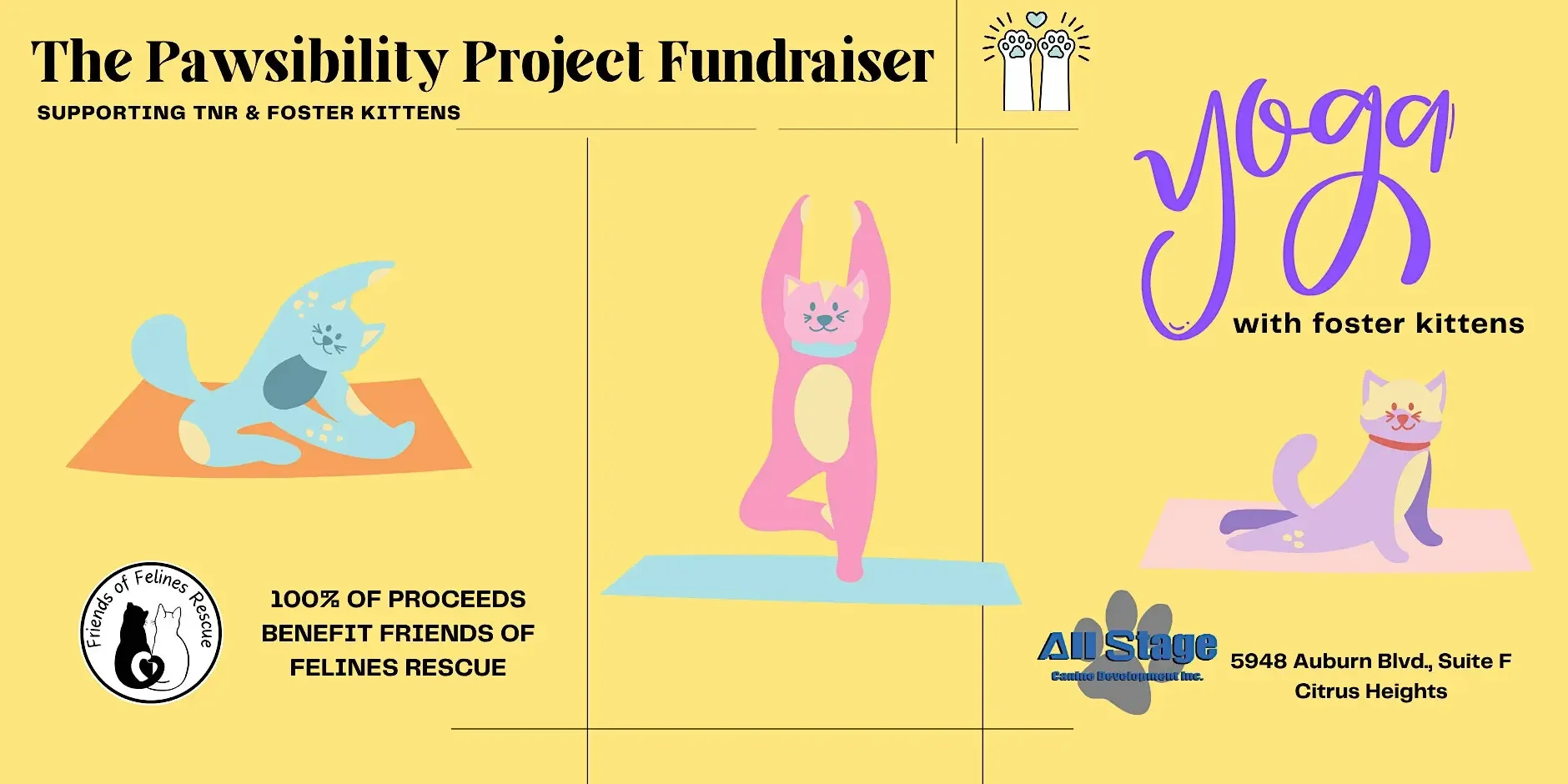Yoga with Kittens Fundraiser