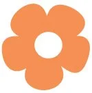 Detray Designs Favicon