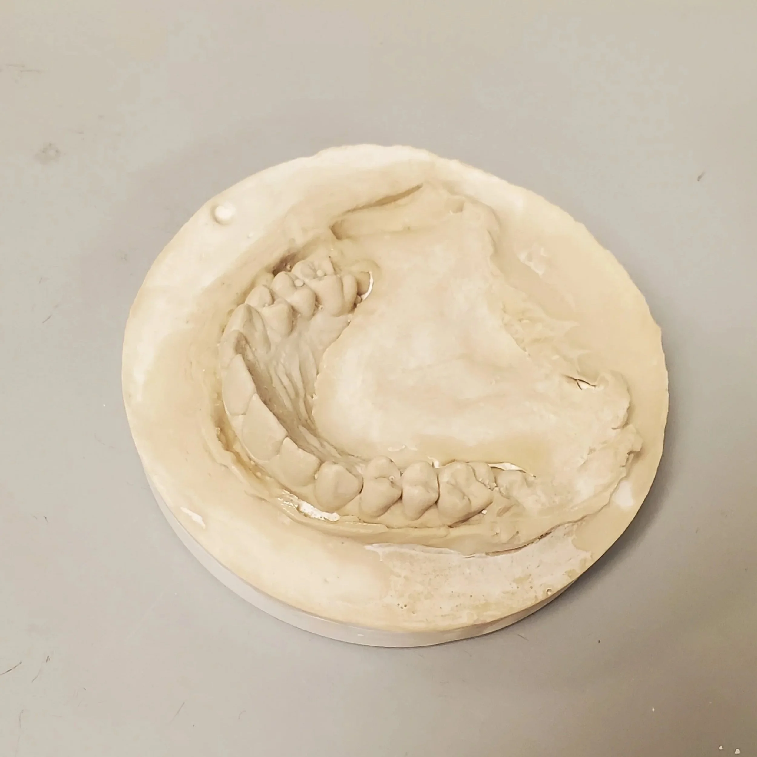 Coating with Castor Oil