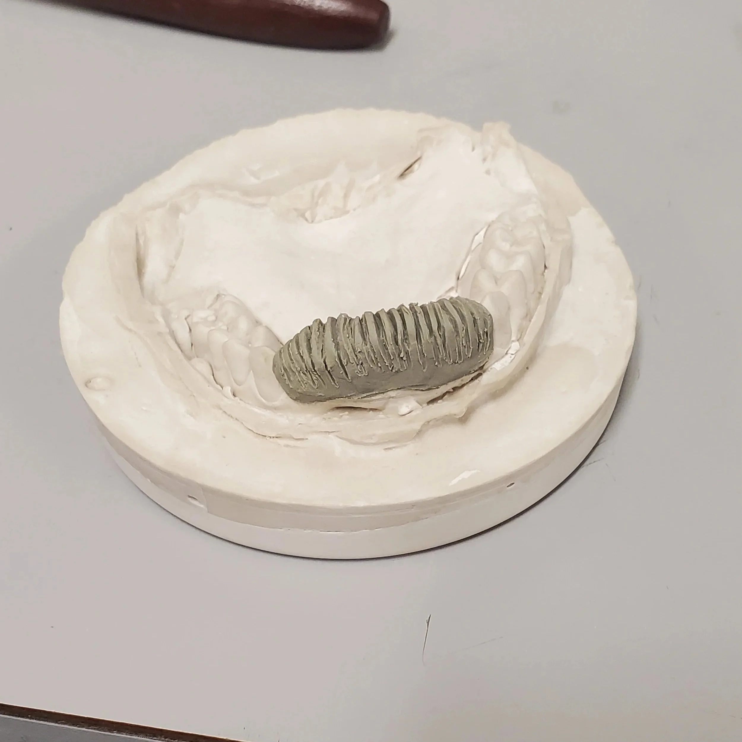 Molding fake teeth with clay