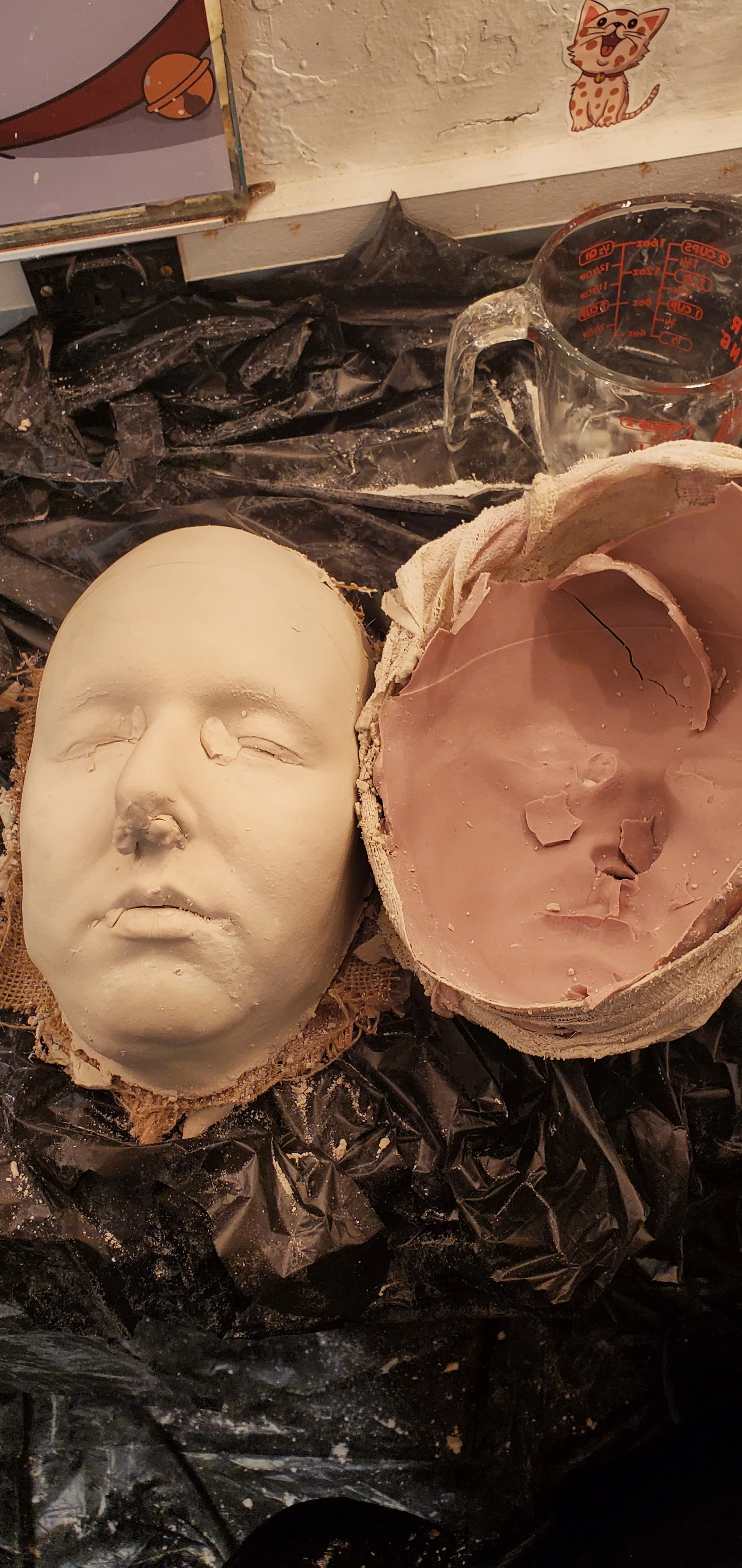Plaster face demolded