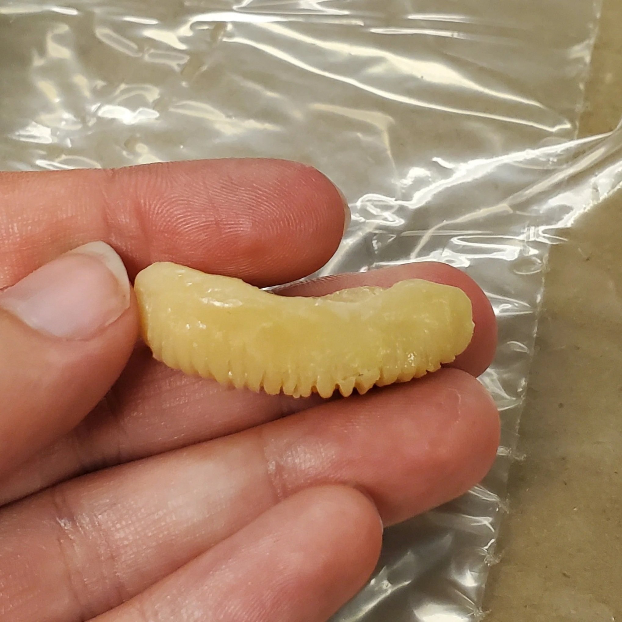 Fake Teeth