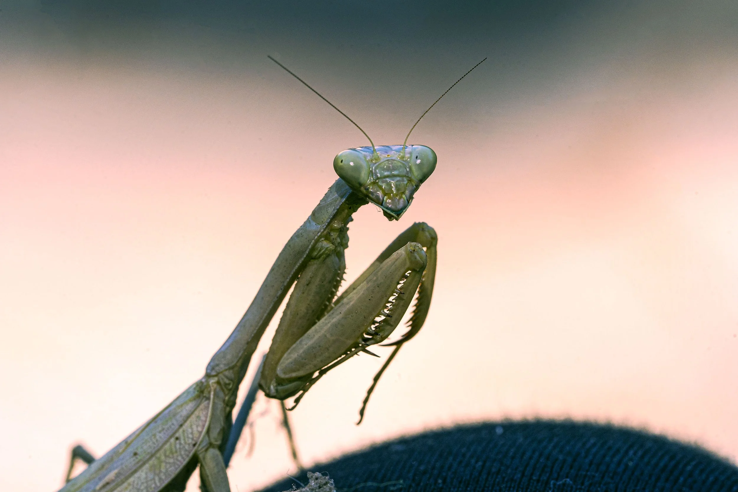 _ECH1494 Website.jpg