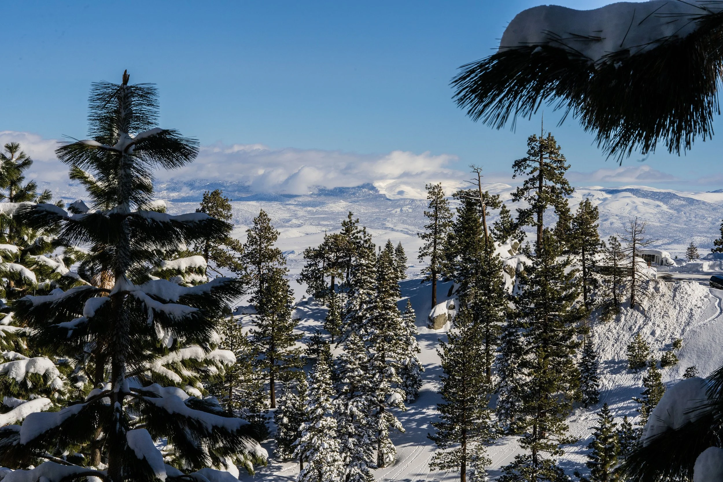 _ECH3966 Website.jpg