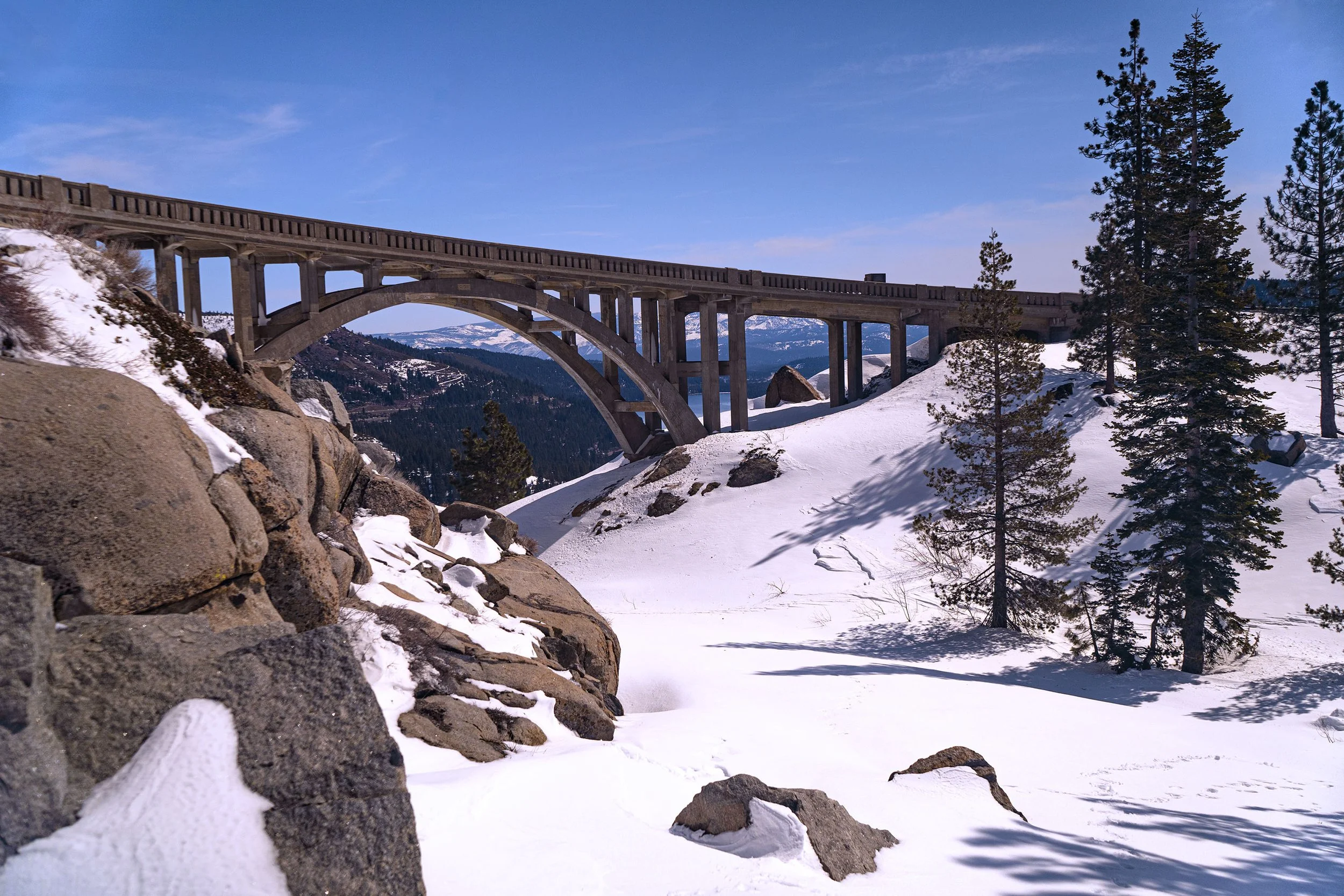 _ECH0038 Website.jpg