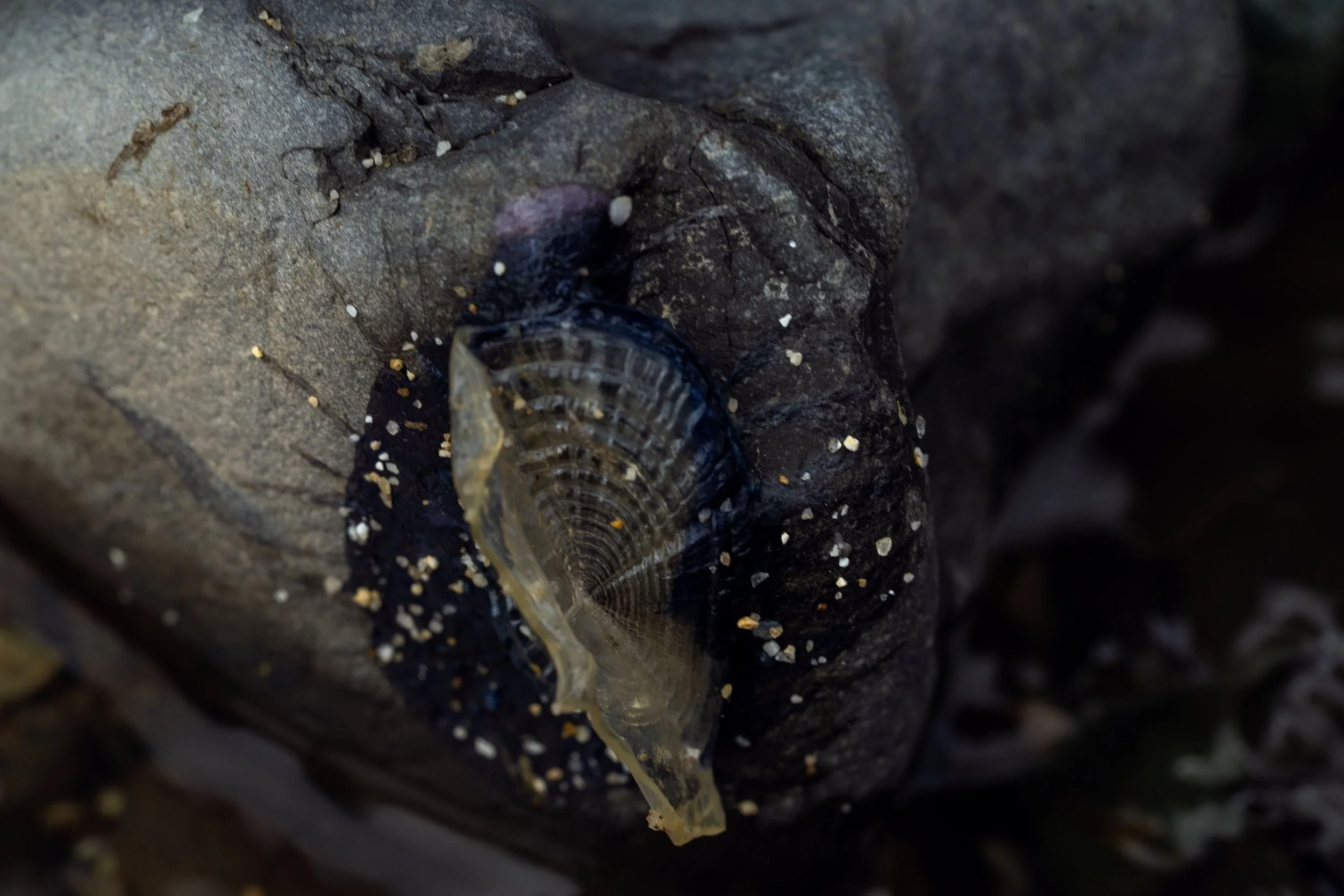 _ECH5962 Website.jpg