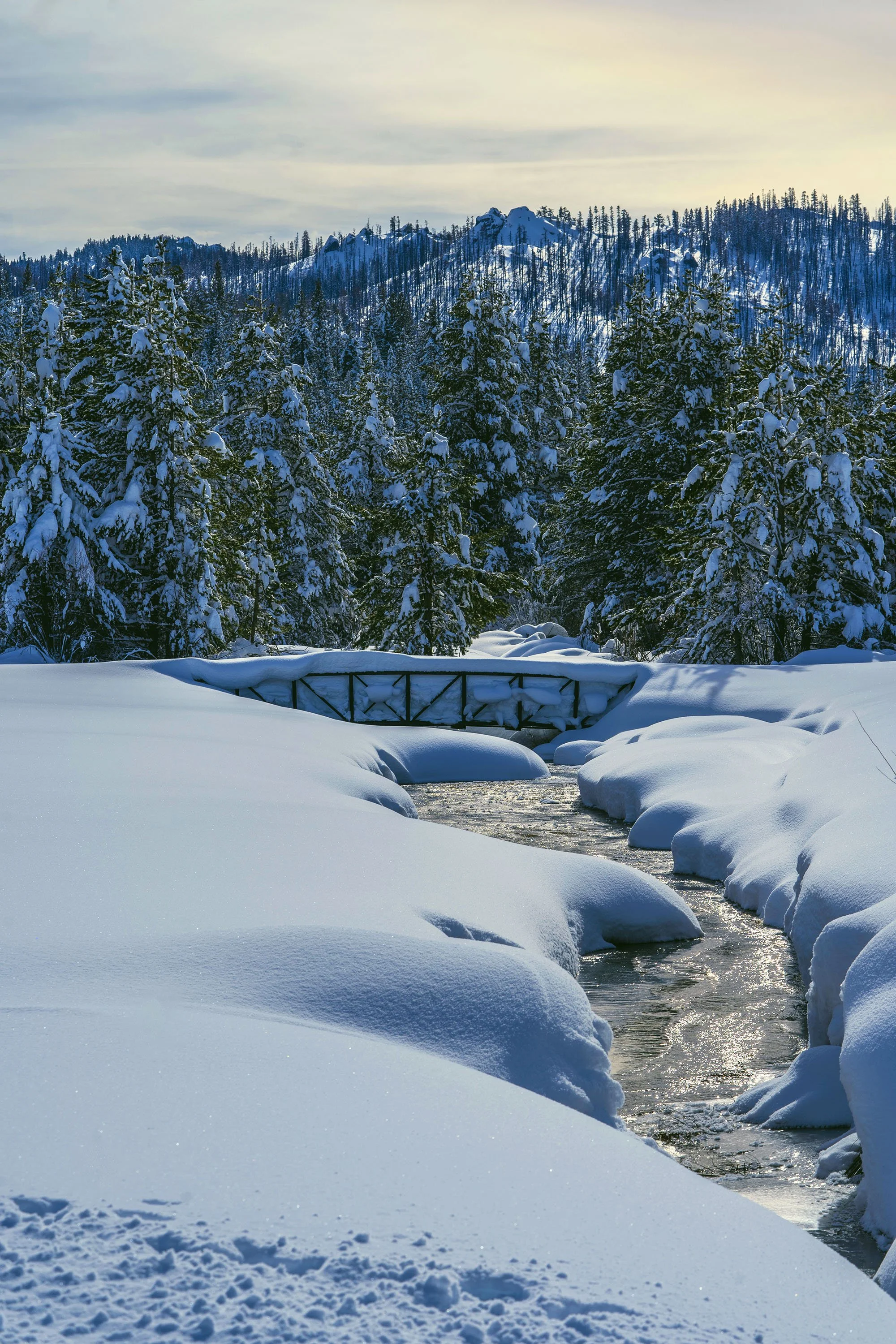 _ECH4116 Website.jpg