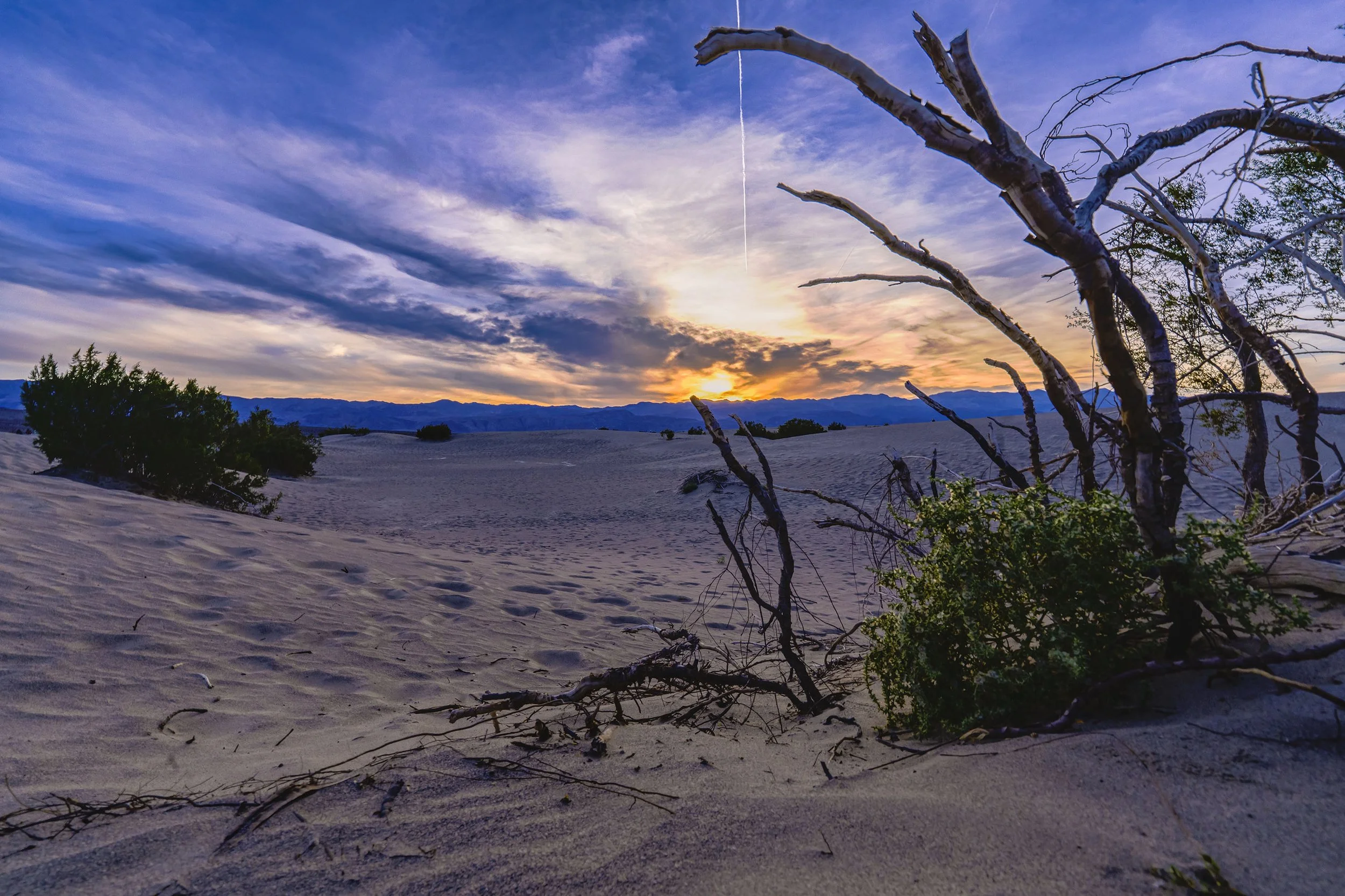 Mesquite Dunes Sunset Website.jpg