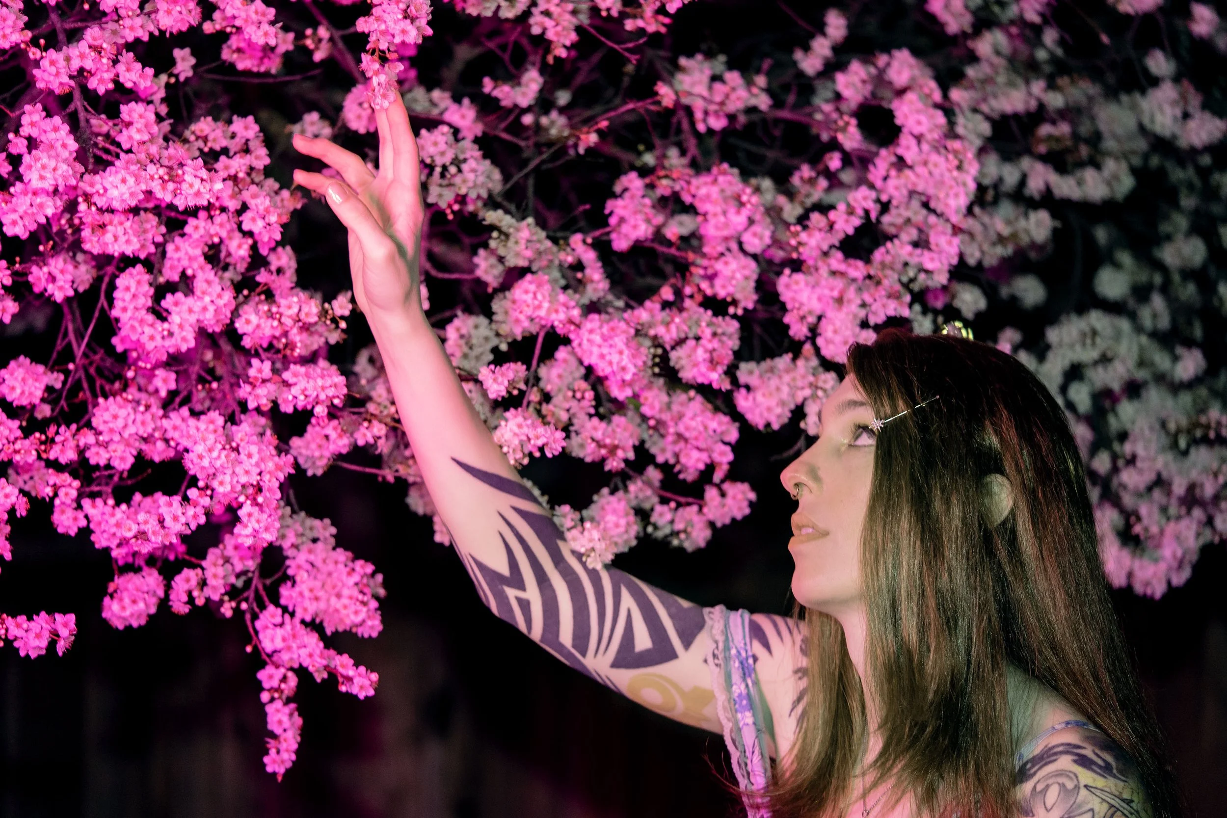 _ECH4747 Website.jpg