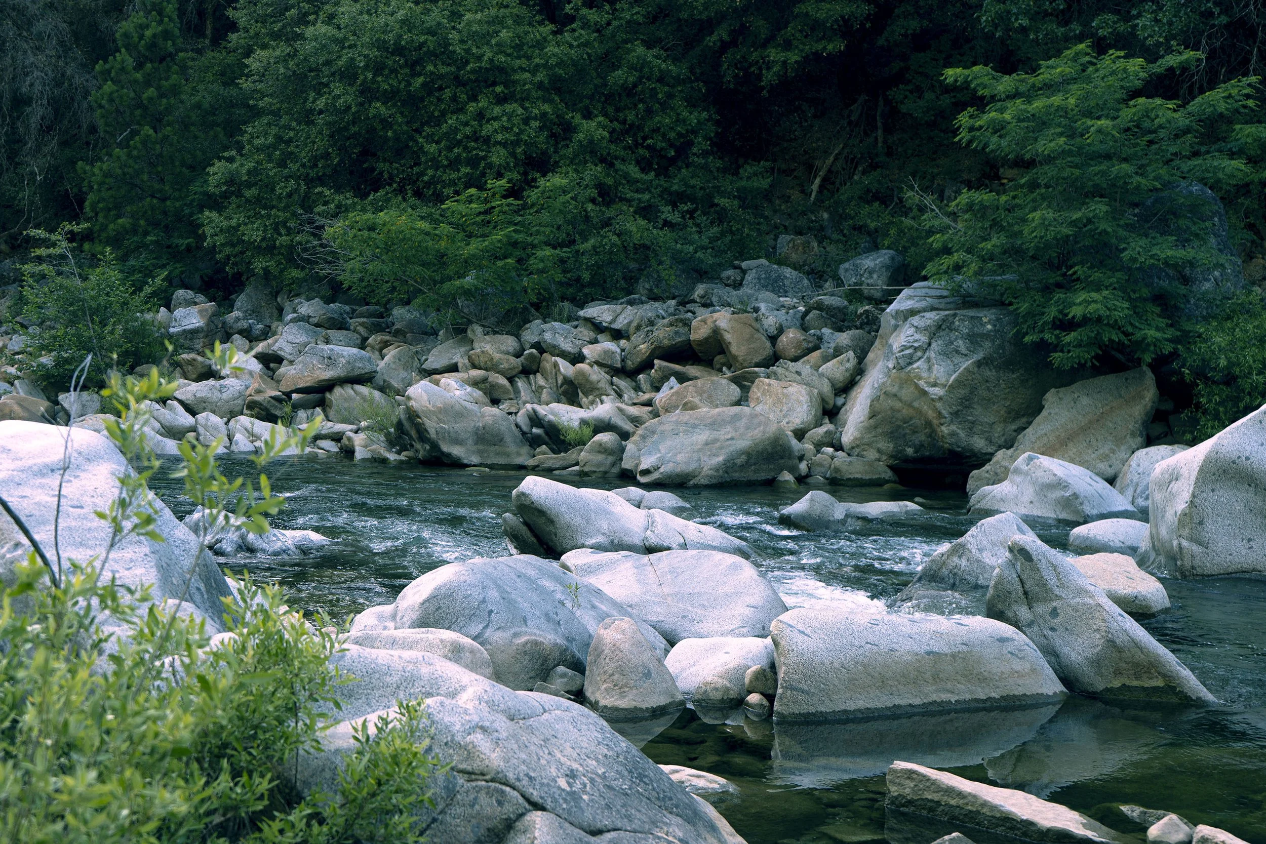 ECH06636 Website.jpg